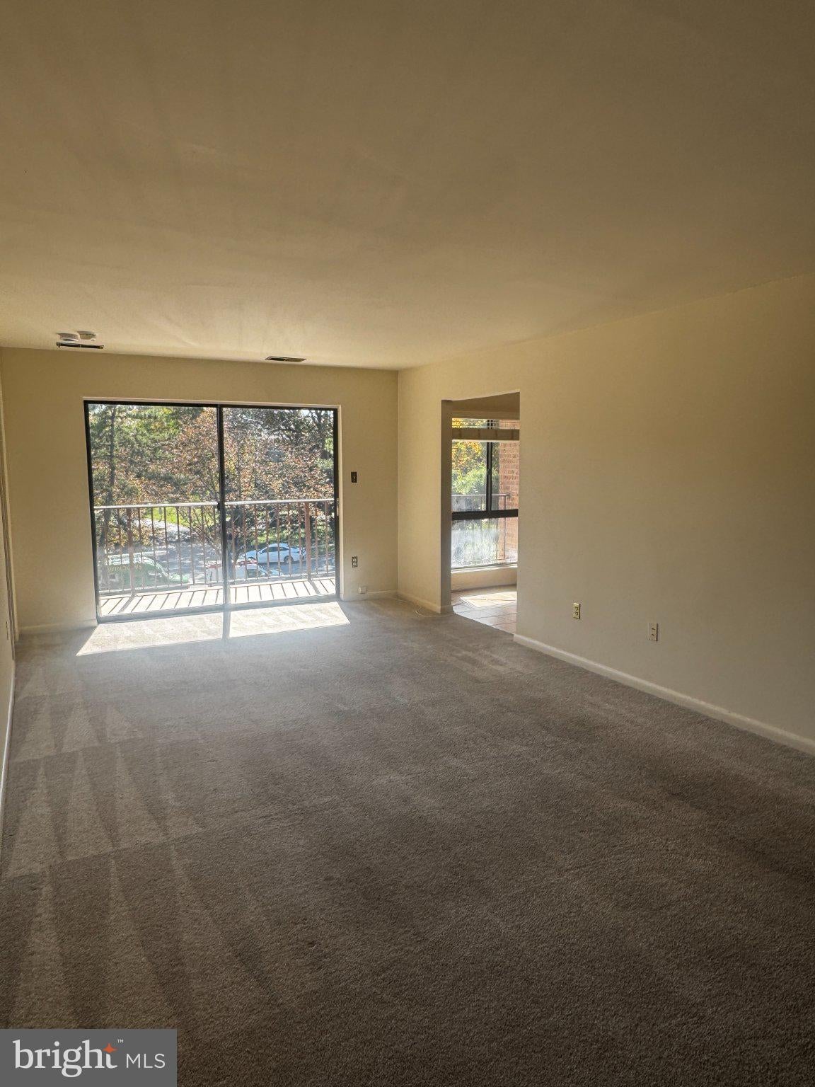 13207 DAIRYMAID DRIVE 301