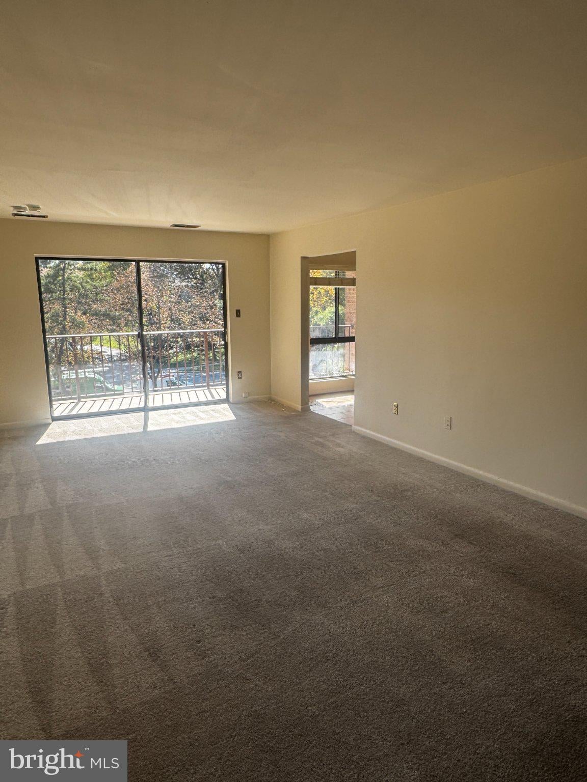 13207 DAIRYMAID DRIVE 301