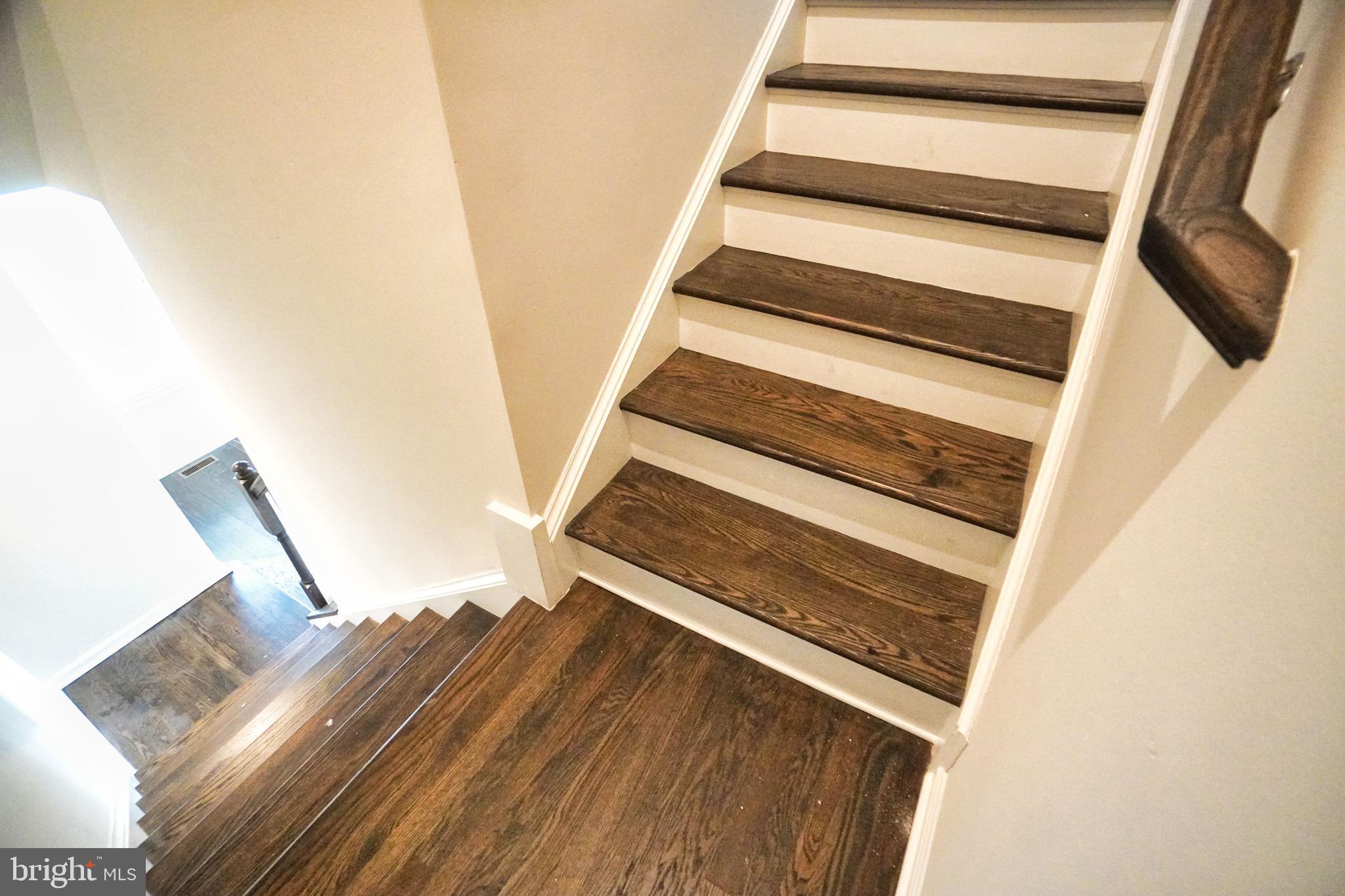 ANDALE GREEN - Residential Lease