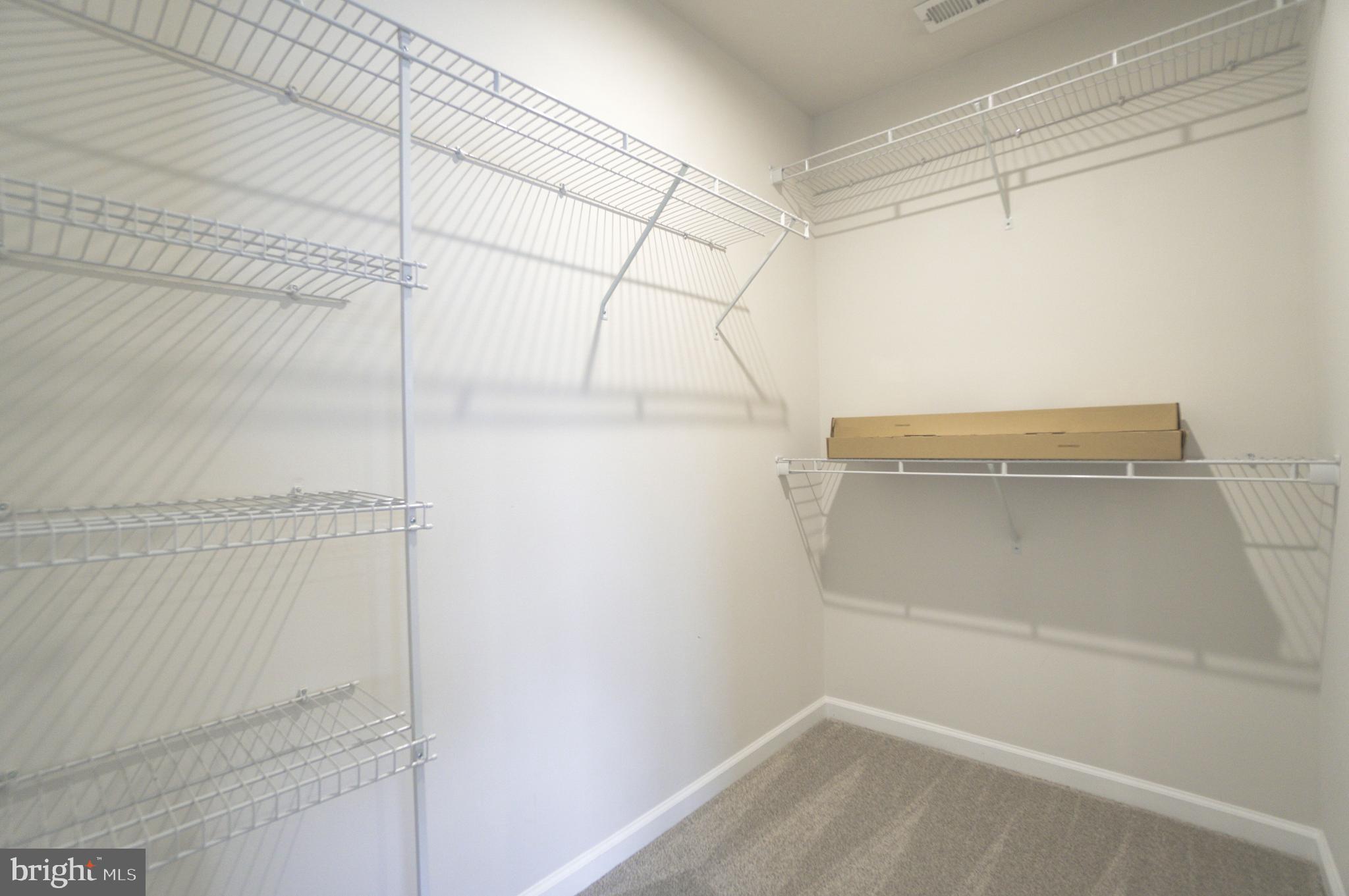 ANDALE GREEN - Residential Lease