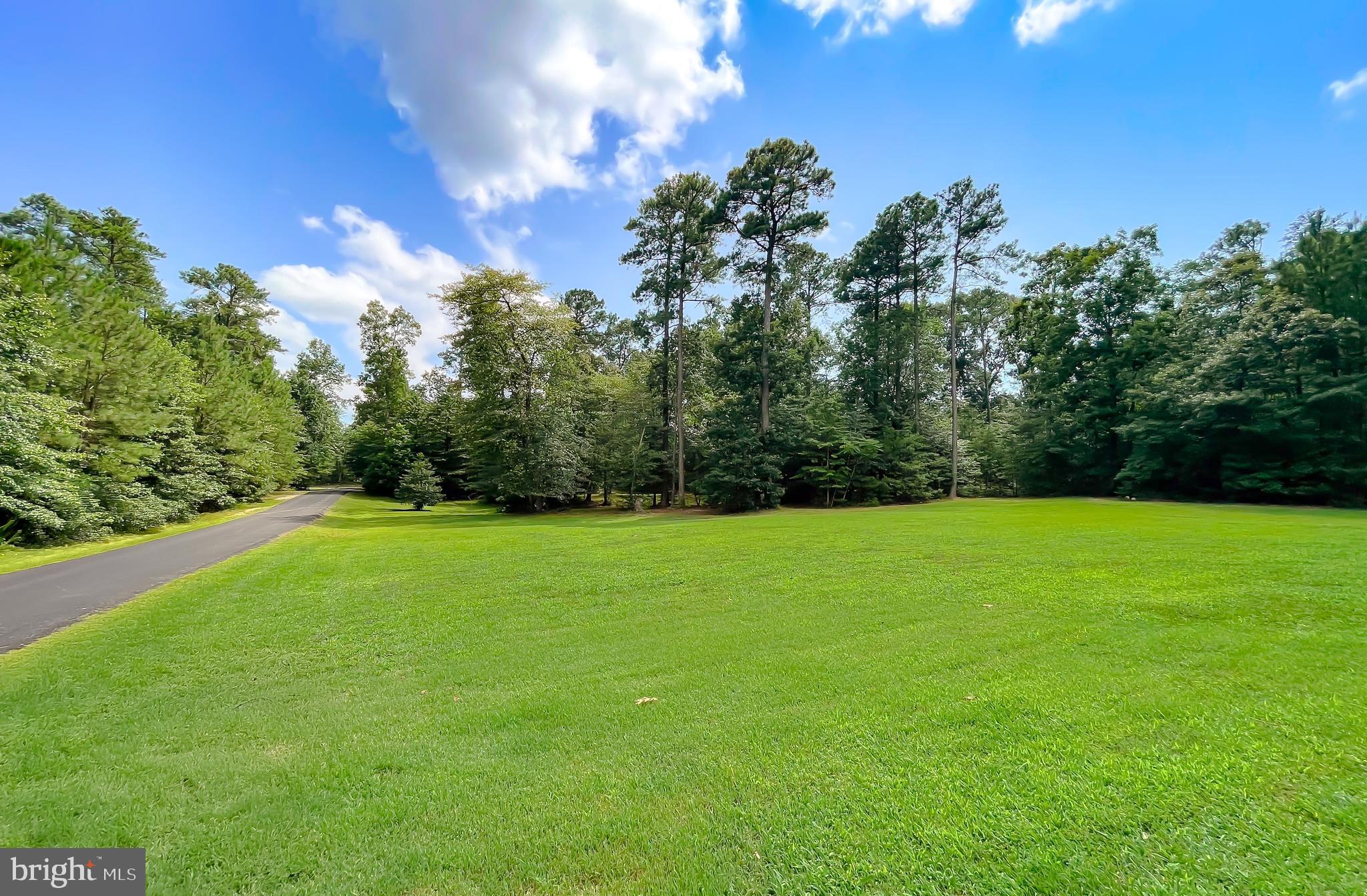 LITTLE HOLLY - Residential