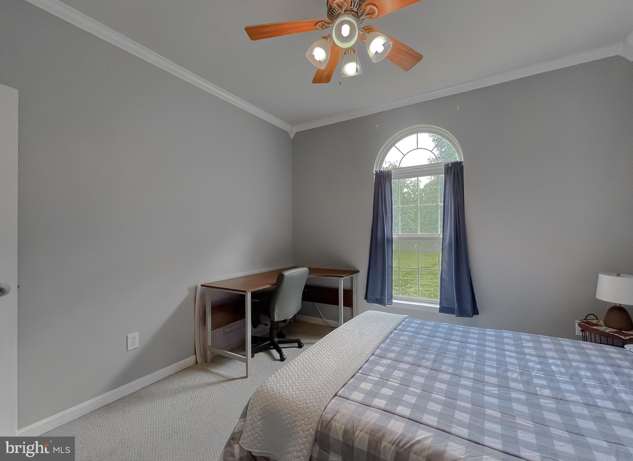 LITTLE HOLLY - Residential