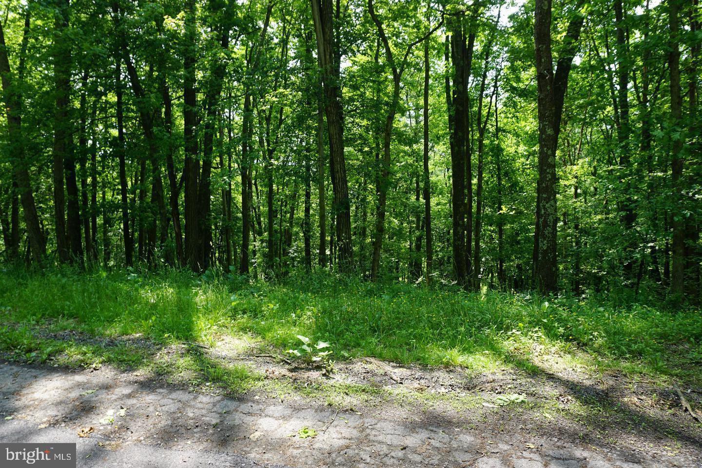 COUNTRY CLUB ACRES - Land