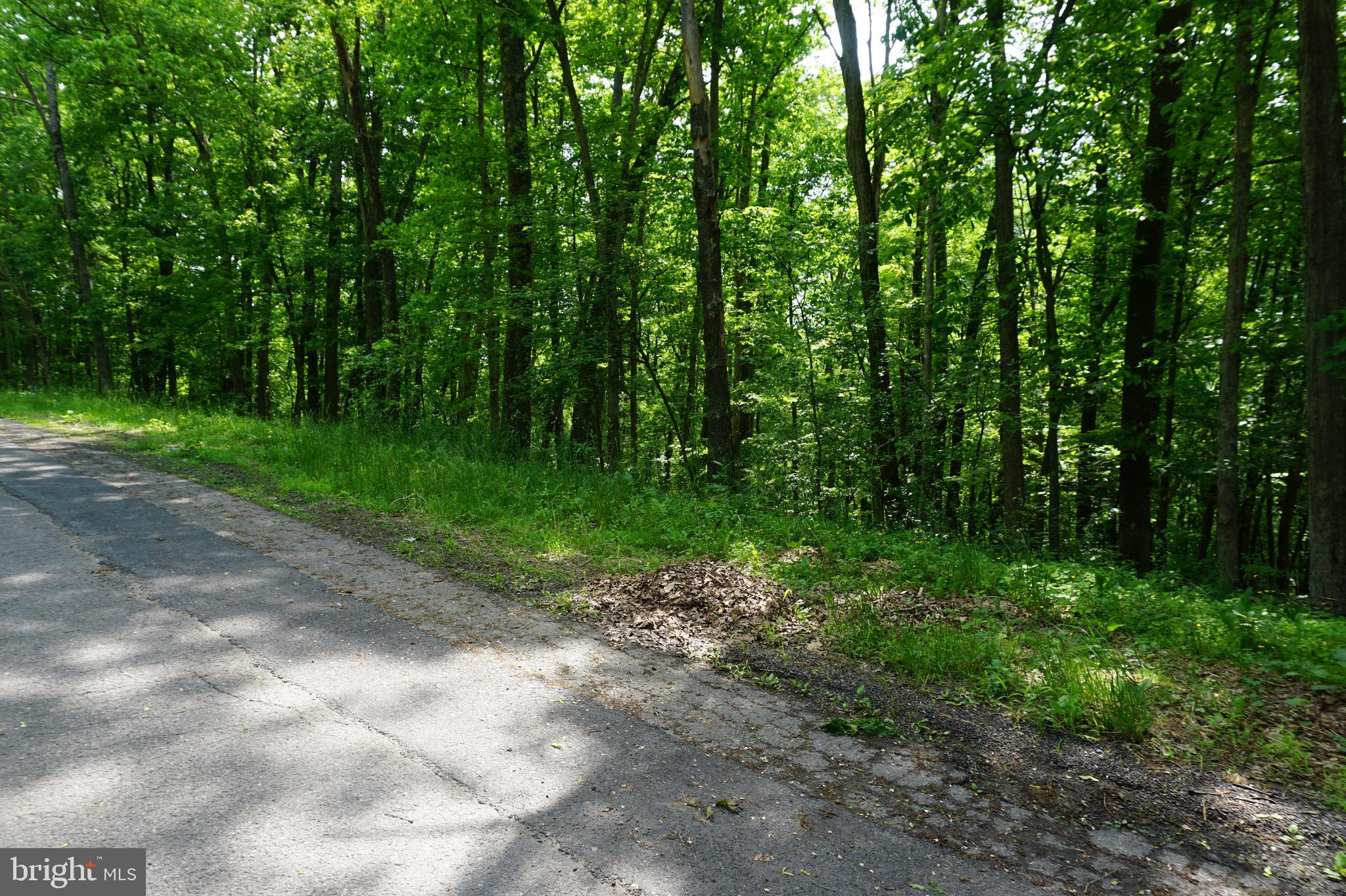 COUNTRY CLUB ACRES - Land