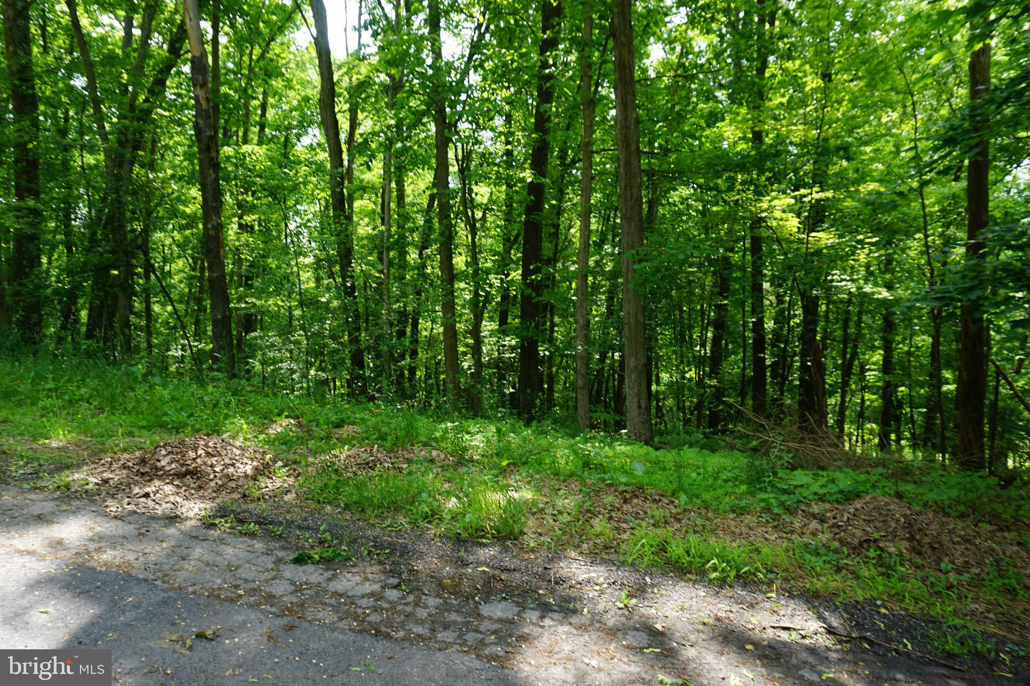 COUNTRY CLUB ACRES - Land