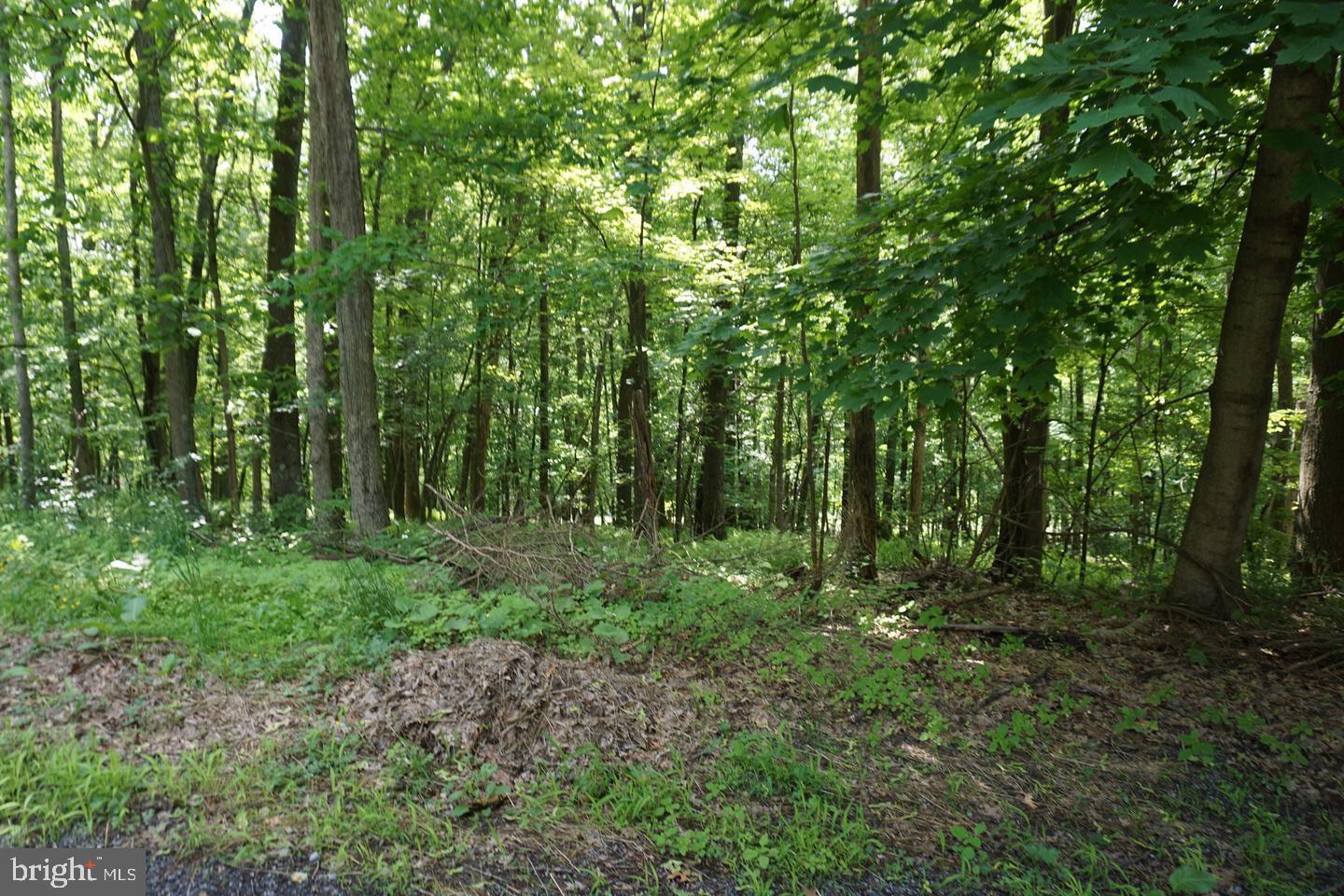 COUNTRY CLUB ACRES - Land