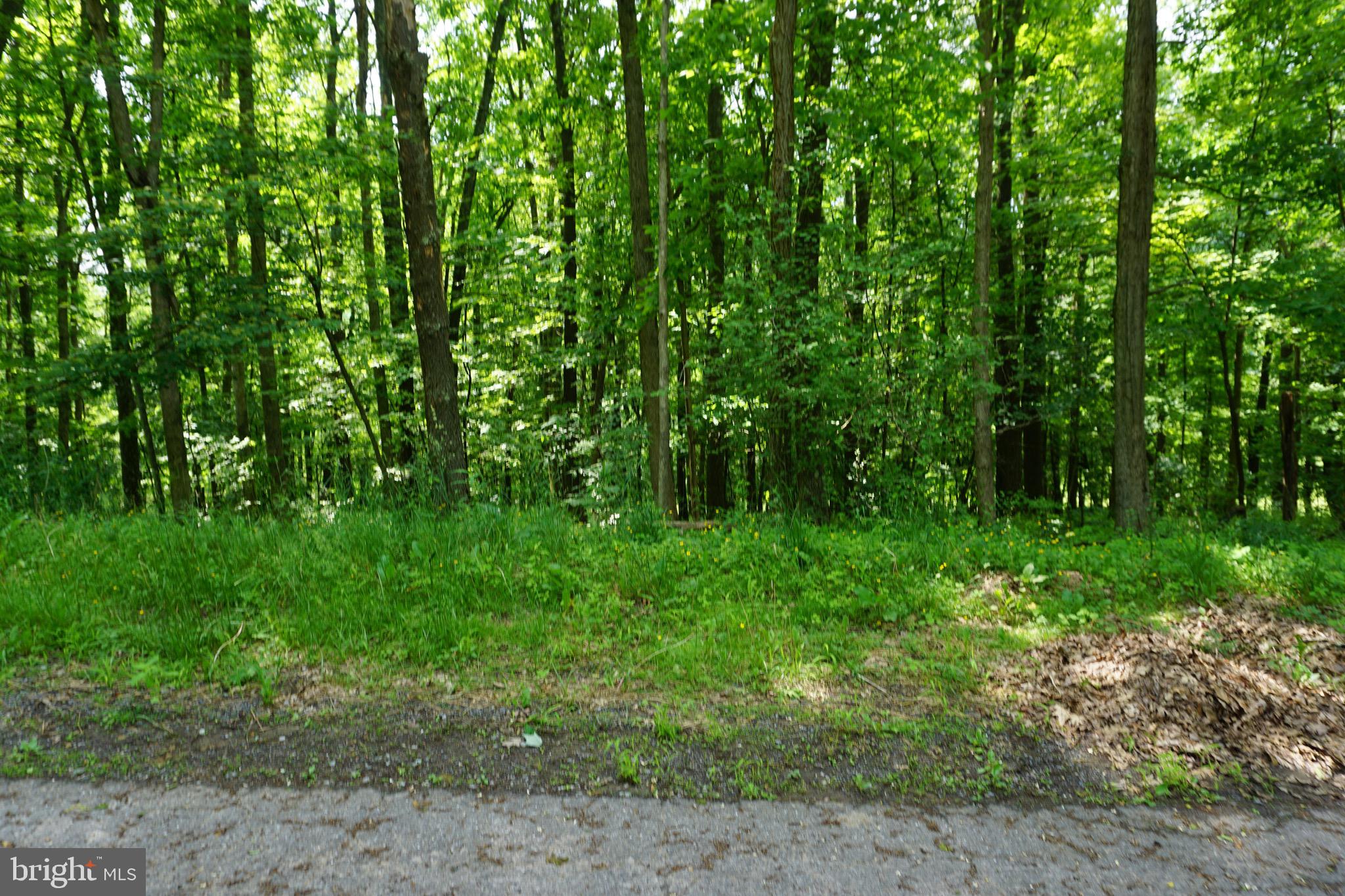 Beautiful building lot in Country Club Acres. Lot 62 and 63 combine for a total 0.629-acre lot and backs up to the Oakland Golf course. Conveniently located close to schools, shopping, restaurants and more. Call today for more info!