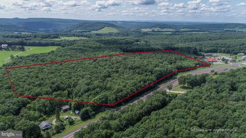 Vacant Land For Sale - Garrett Highway<br/> MC HENRY, MD 21541