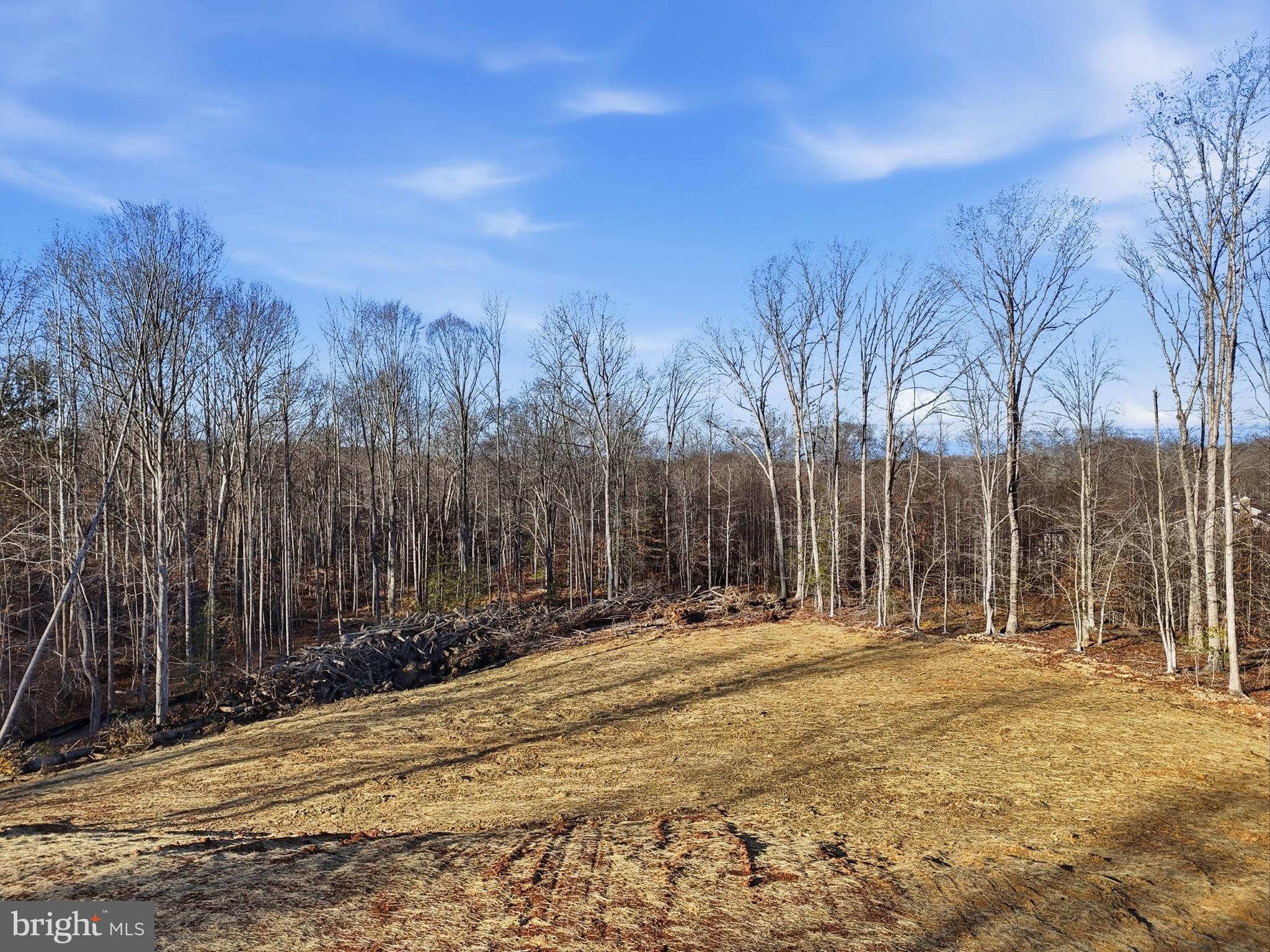 Lot 20 RAPIDAN FARMS DRIVE