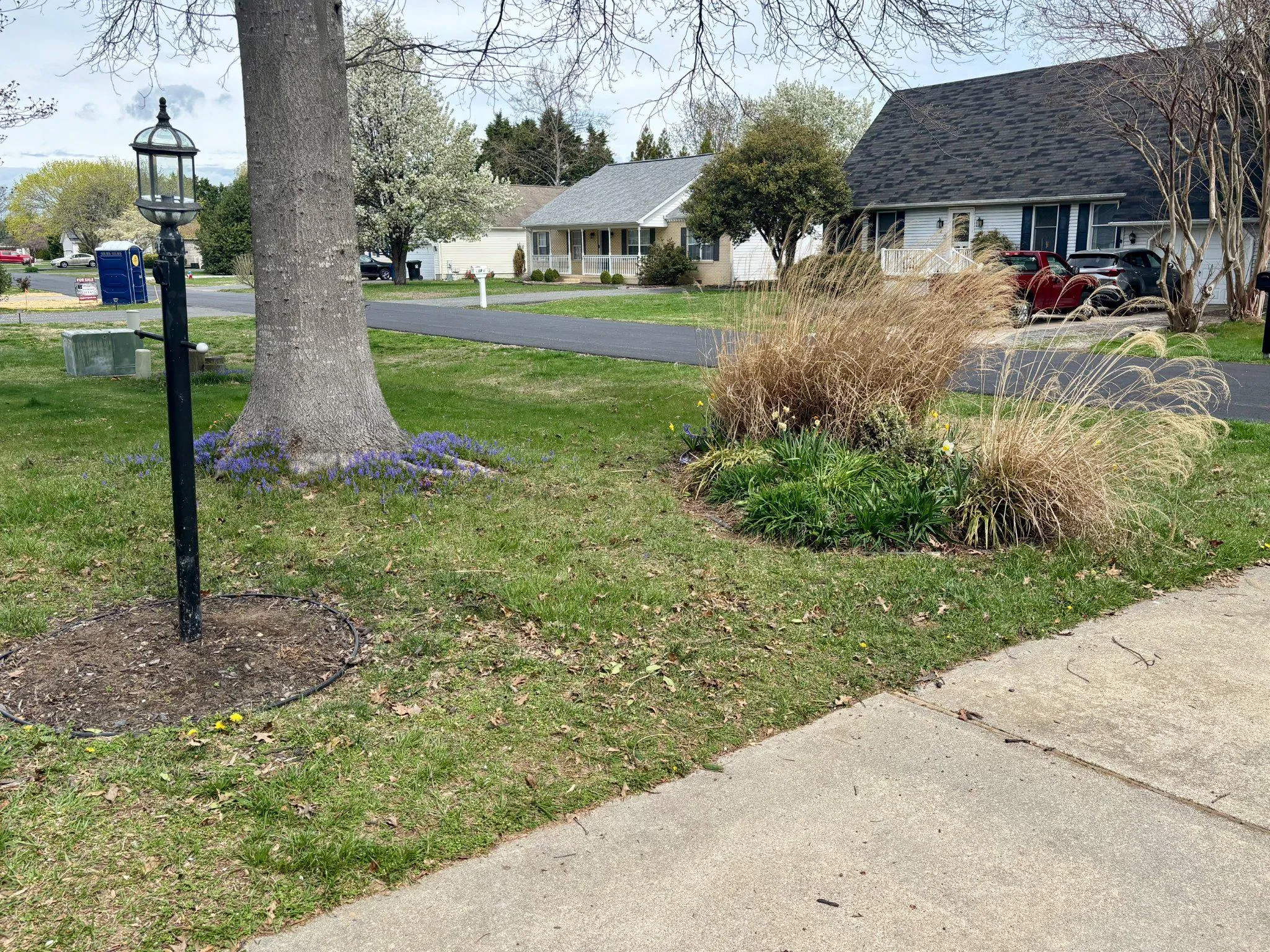 Additional image 31 of 16 Colgate Drive, Rehoboth Beach, DE 19971