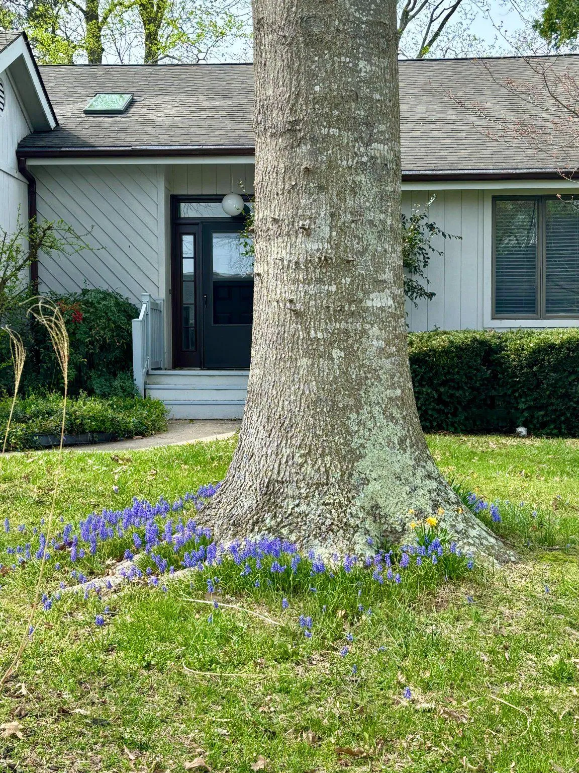 Additional image 32 of 16 Colgate Drive, Rehoboth Beach, DE 19971