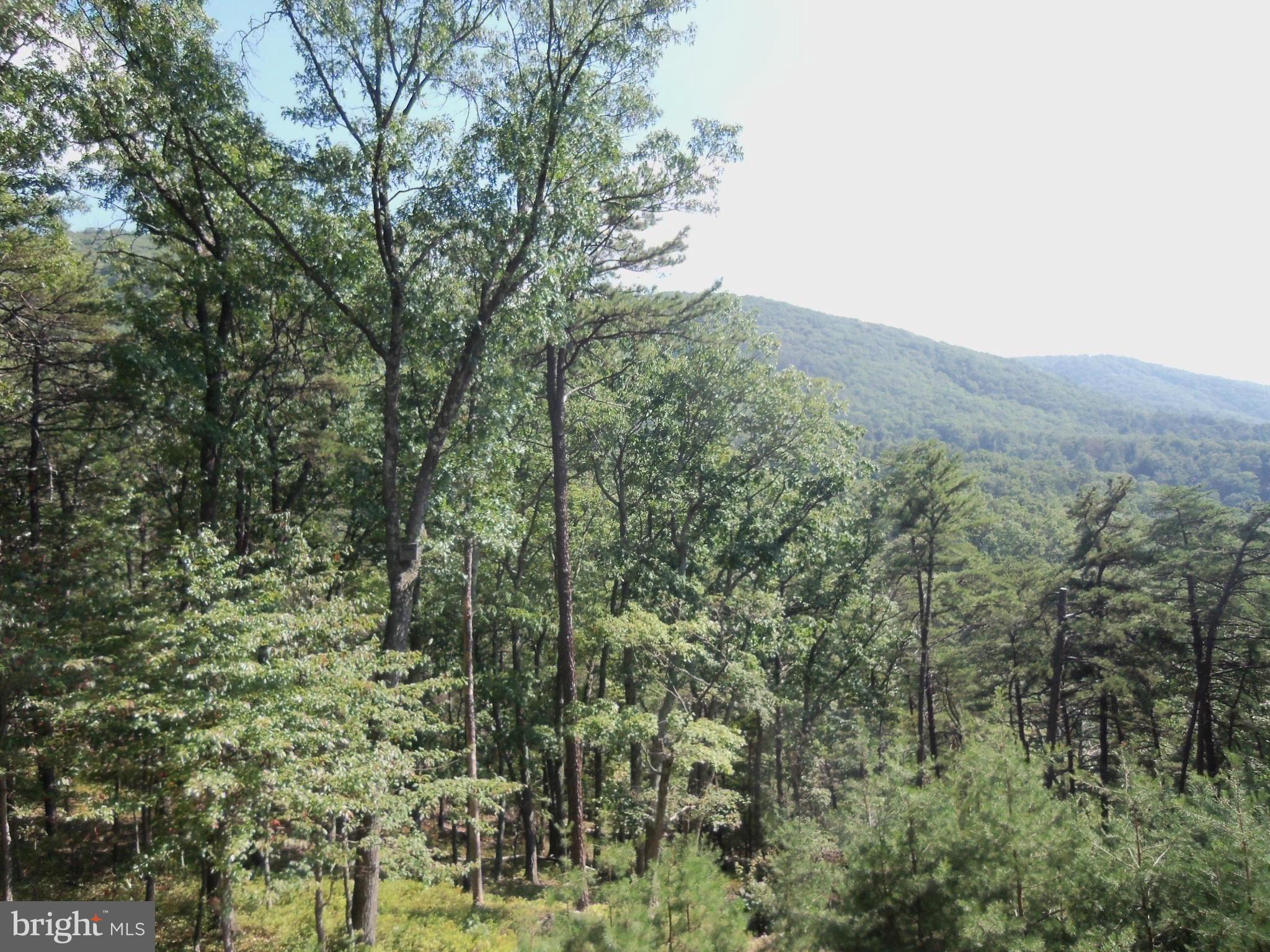 ROUSE MOUNTAIN - Residential