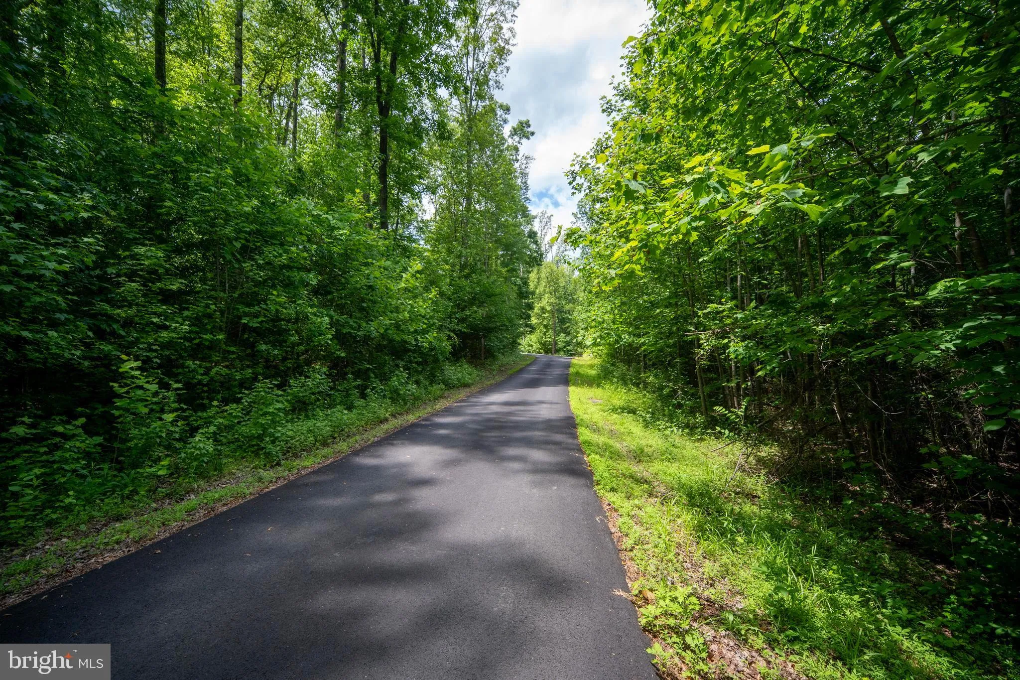 Fredericksburg, Virginia 22406, United States, 5 Bedrooms Bedrooms, ,3 BathroomsBathrooms,Residential,Active,139048