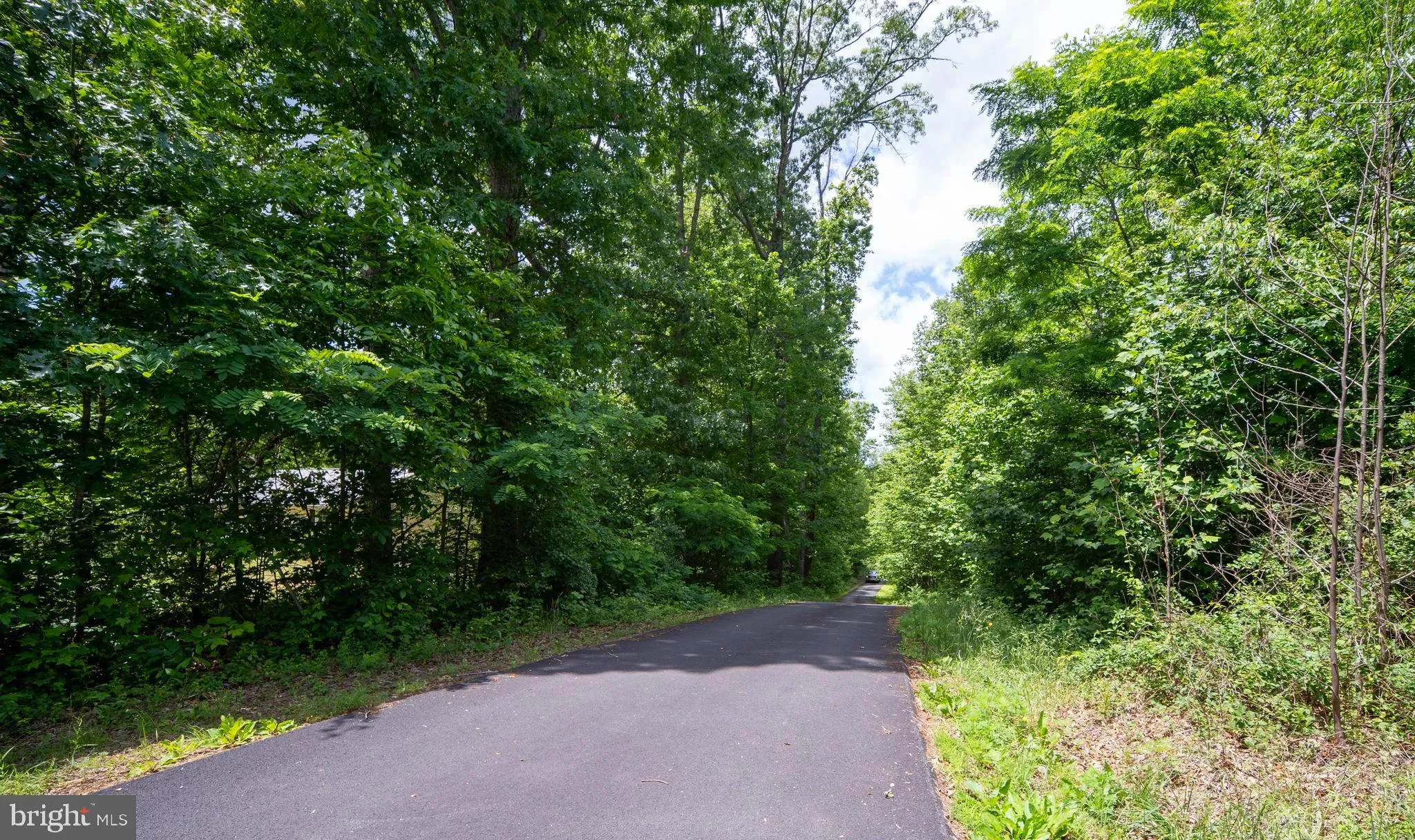 Fredericksburg, Virginia 22406, United States, 5 Bedrooms Bedrooms, ,3 BathroomsBathrooms,Residential,Active,139048