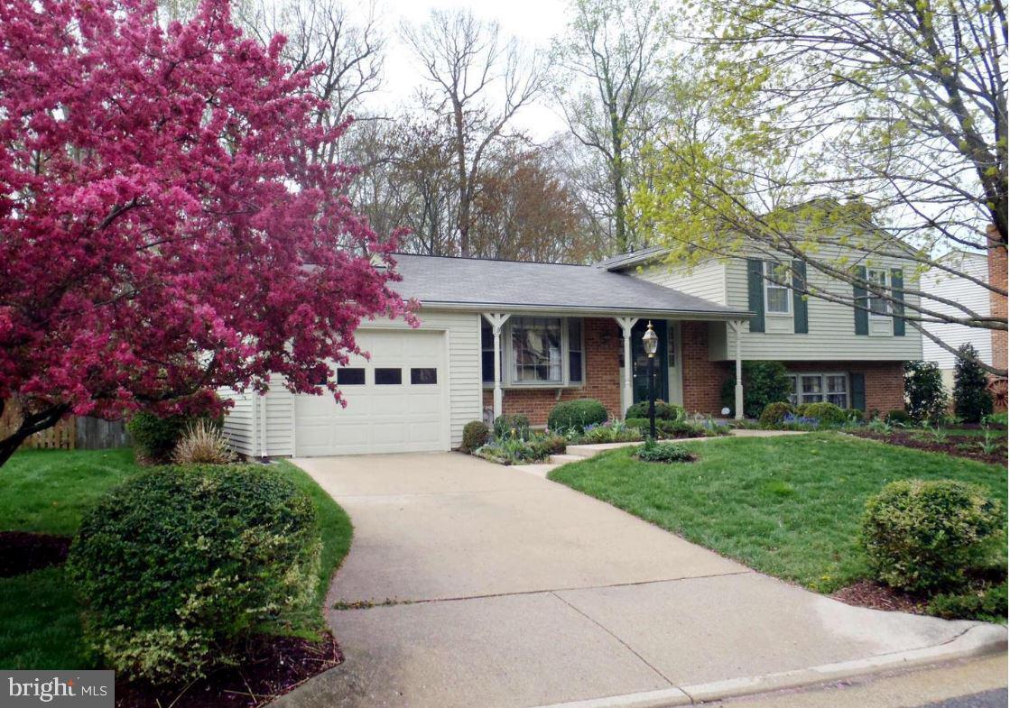 LAKE RIDGE - Residential Lease