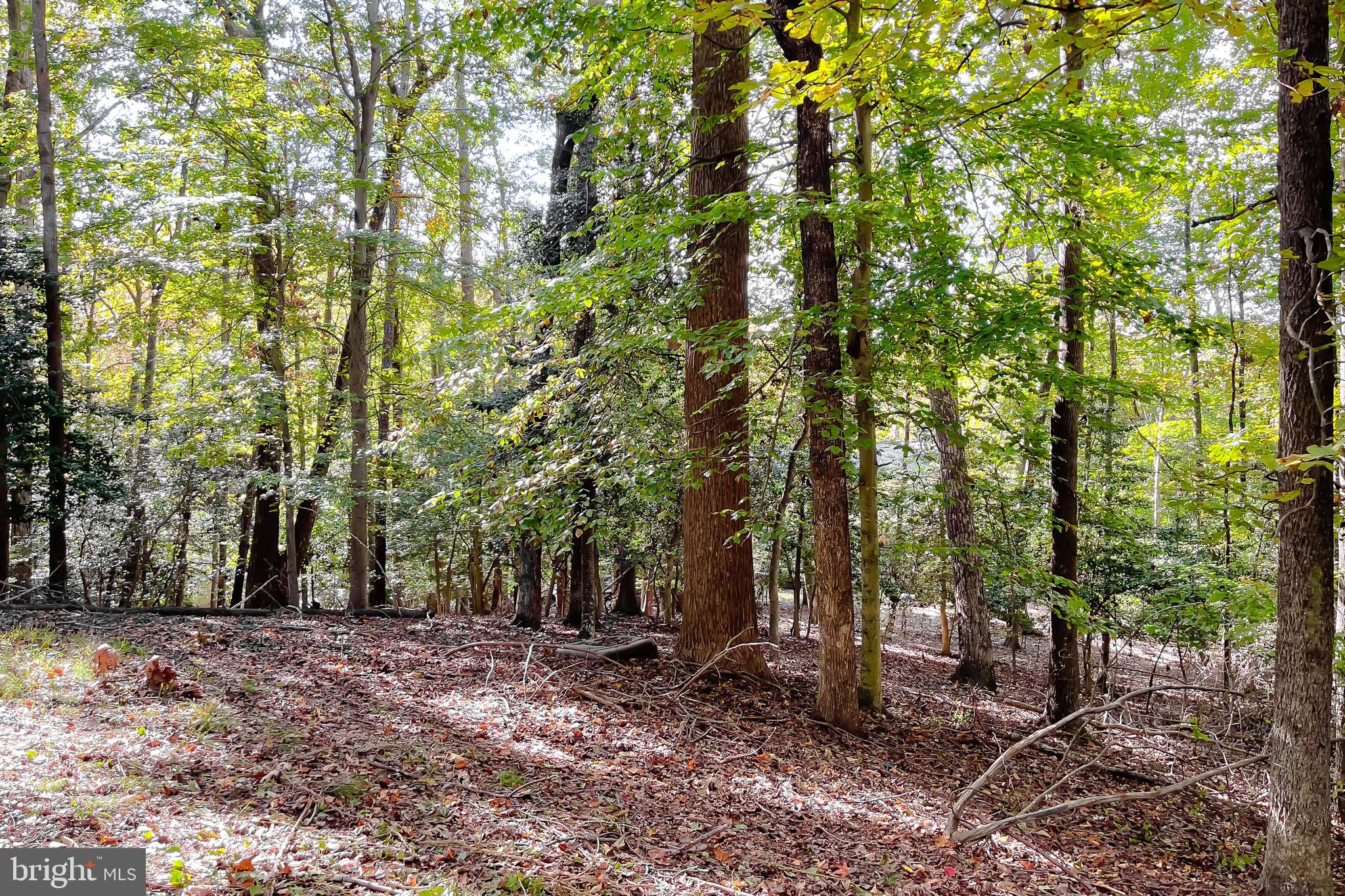 CHESAPEAKE RANCH ESTATES - Residential