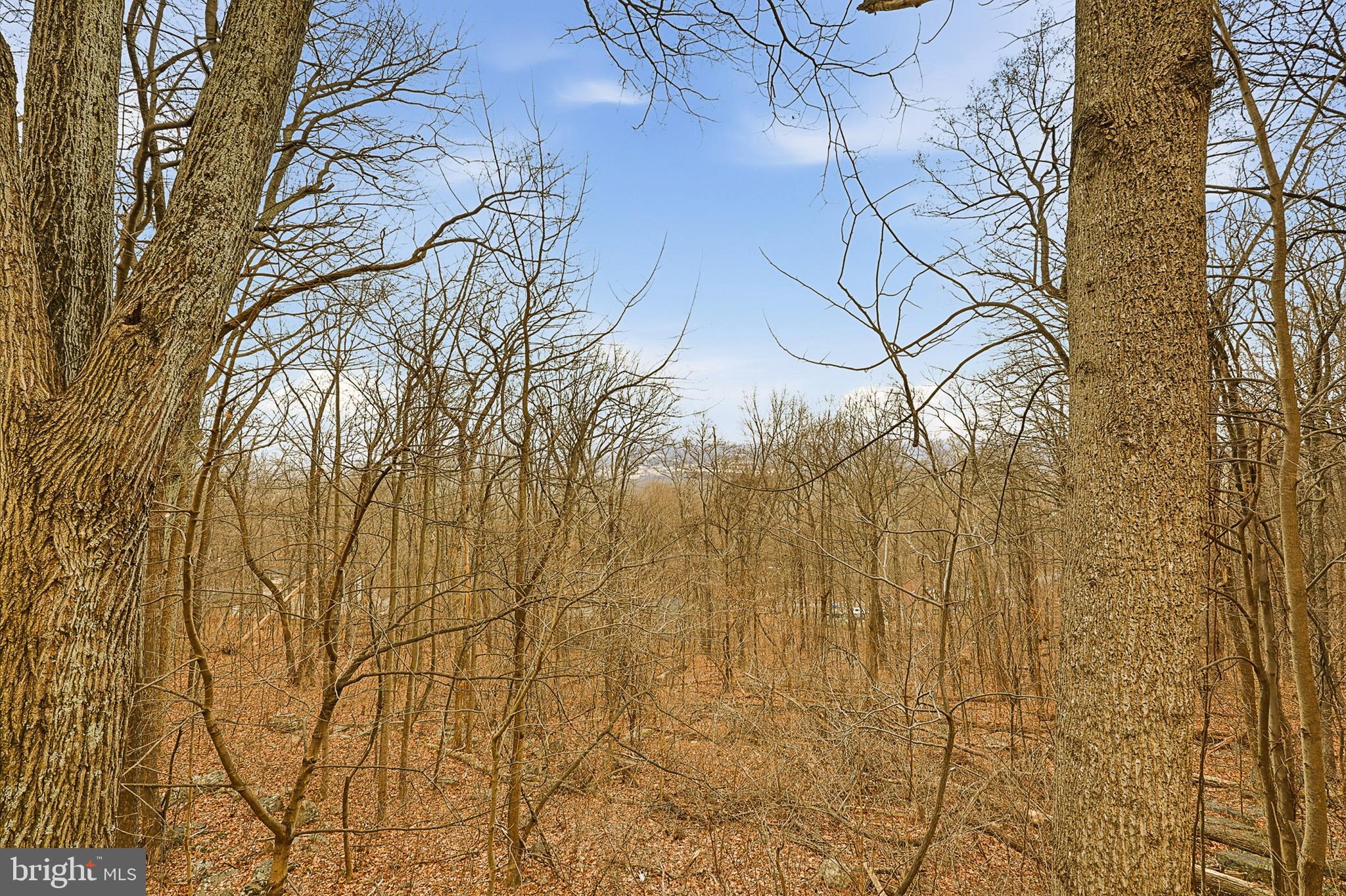 GLENWOOD FOREST - Residential