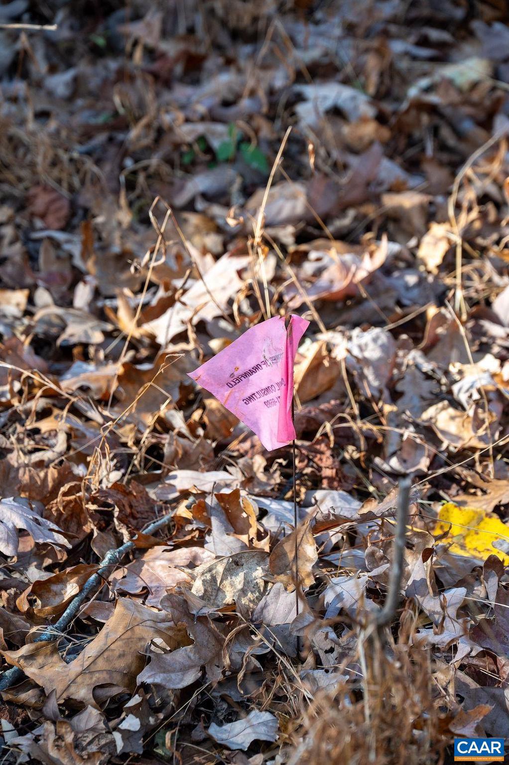 BLANDEMAR FARM ESTATES - Land