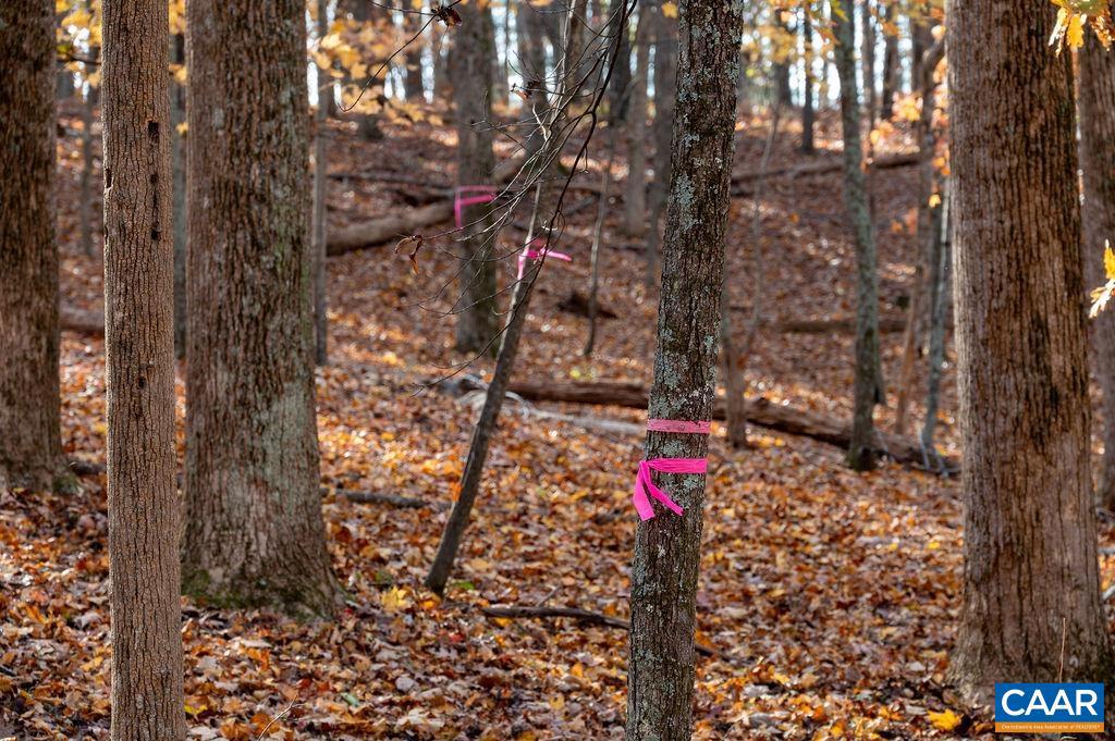 BLANDEMAR FARM ESTATES - Land