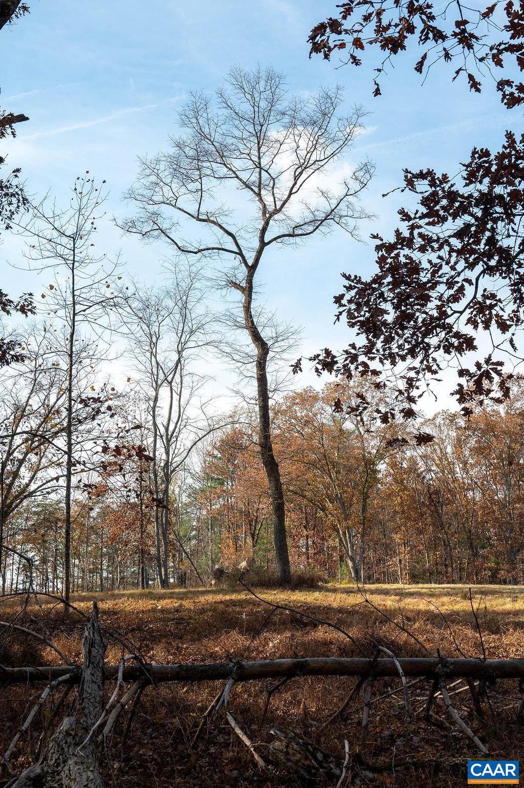 BLANDEMAR FARM ESTATES - Land