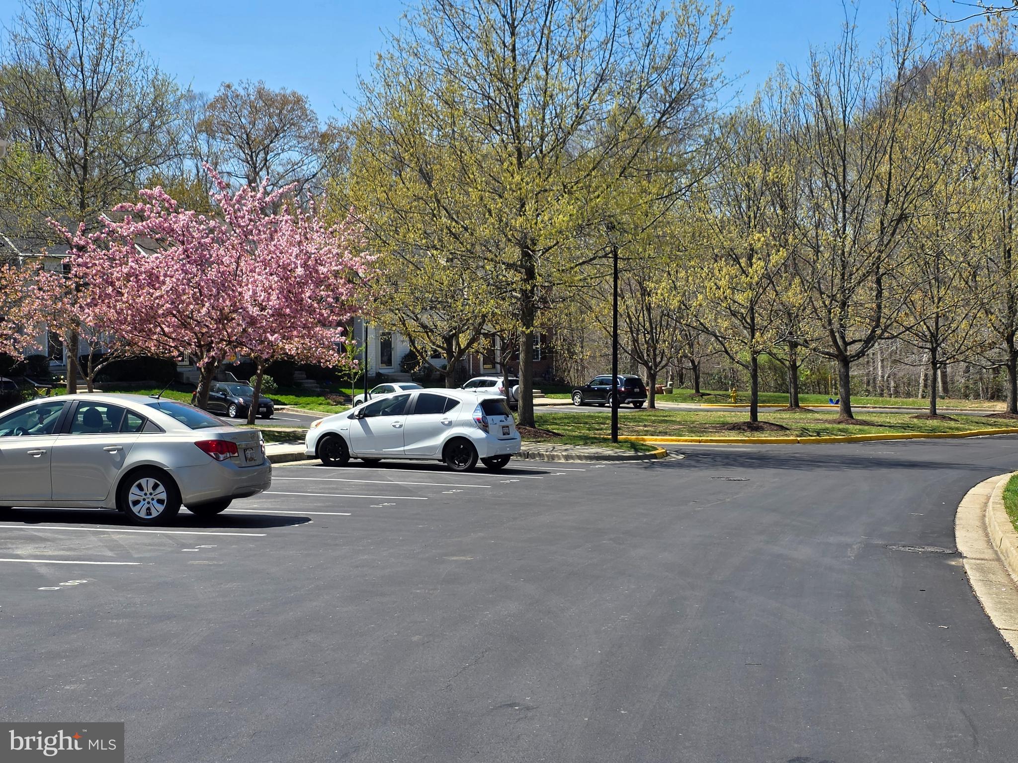 PINEY ORCHARD - Residential