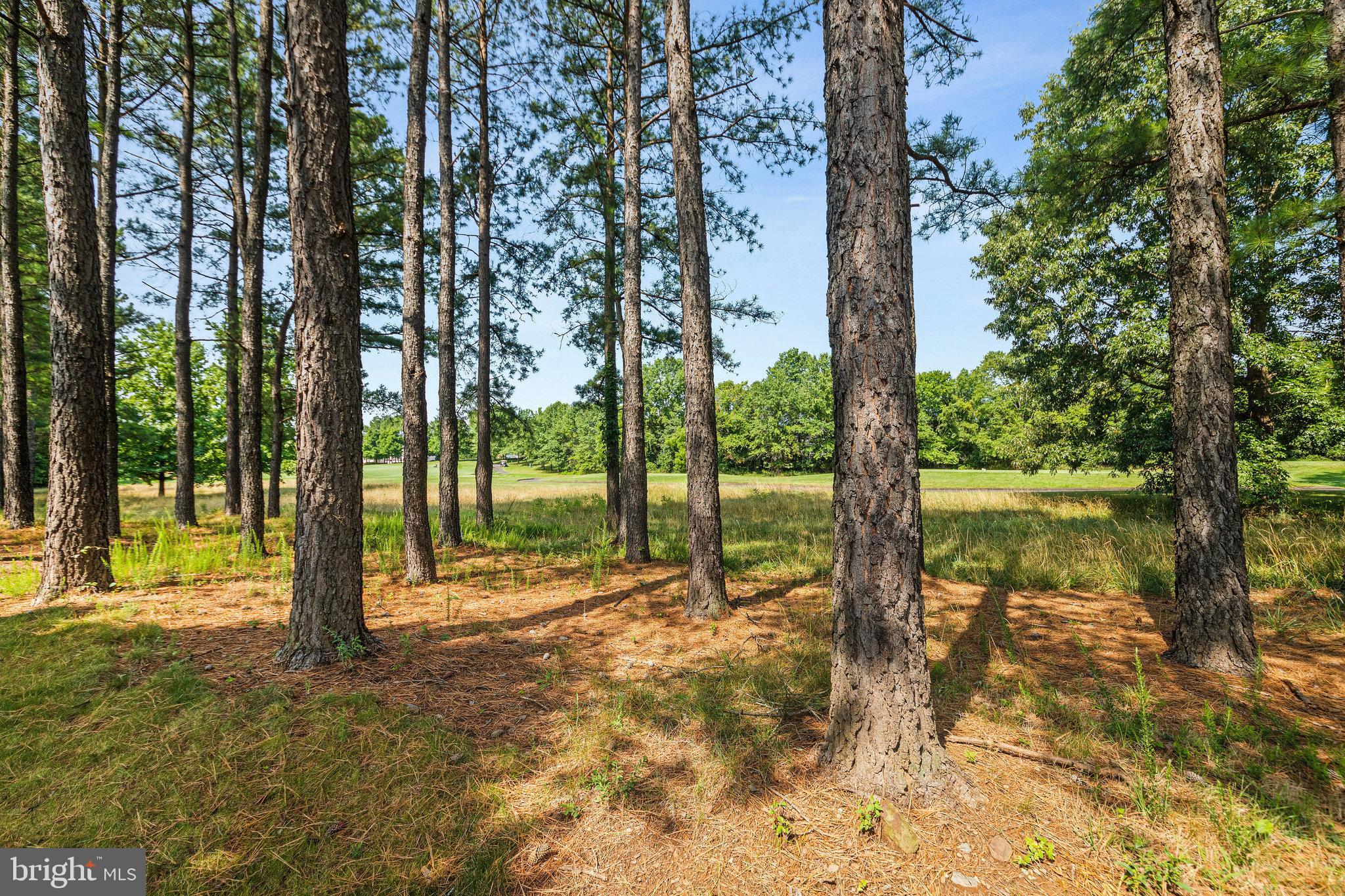 DOMINION VALLEY COUNTRY CLUB - Residential