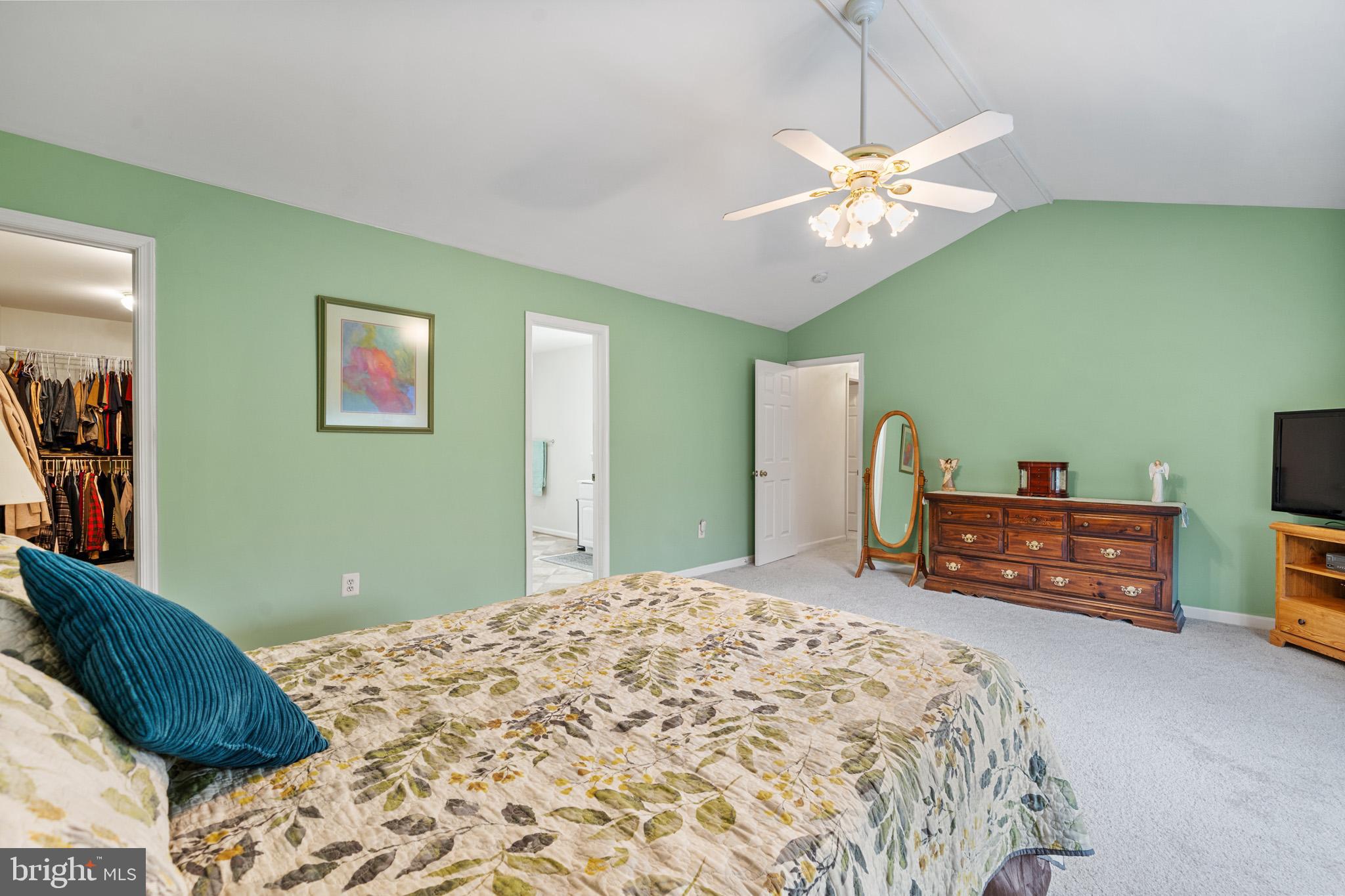 BENEDICT - Residential