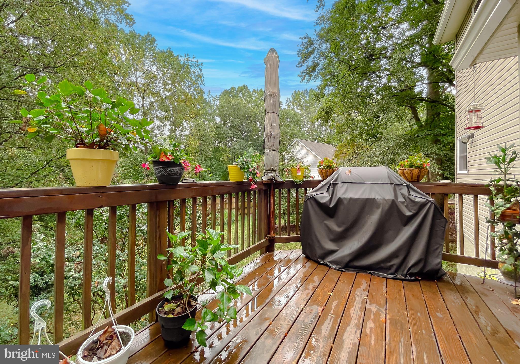 LONG BEACH HEIGHTS - Residential