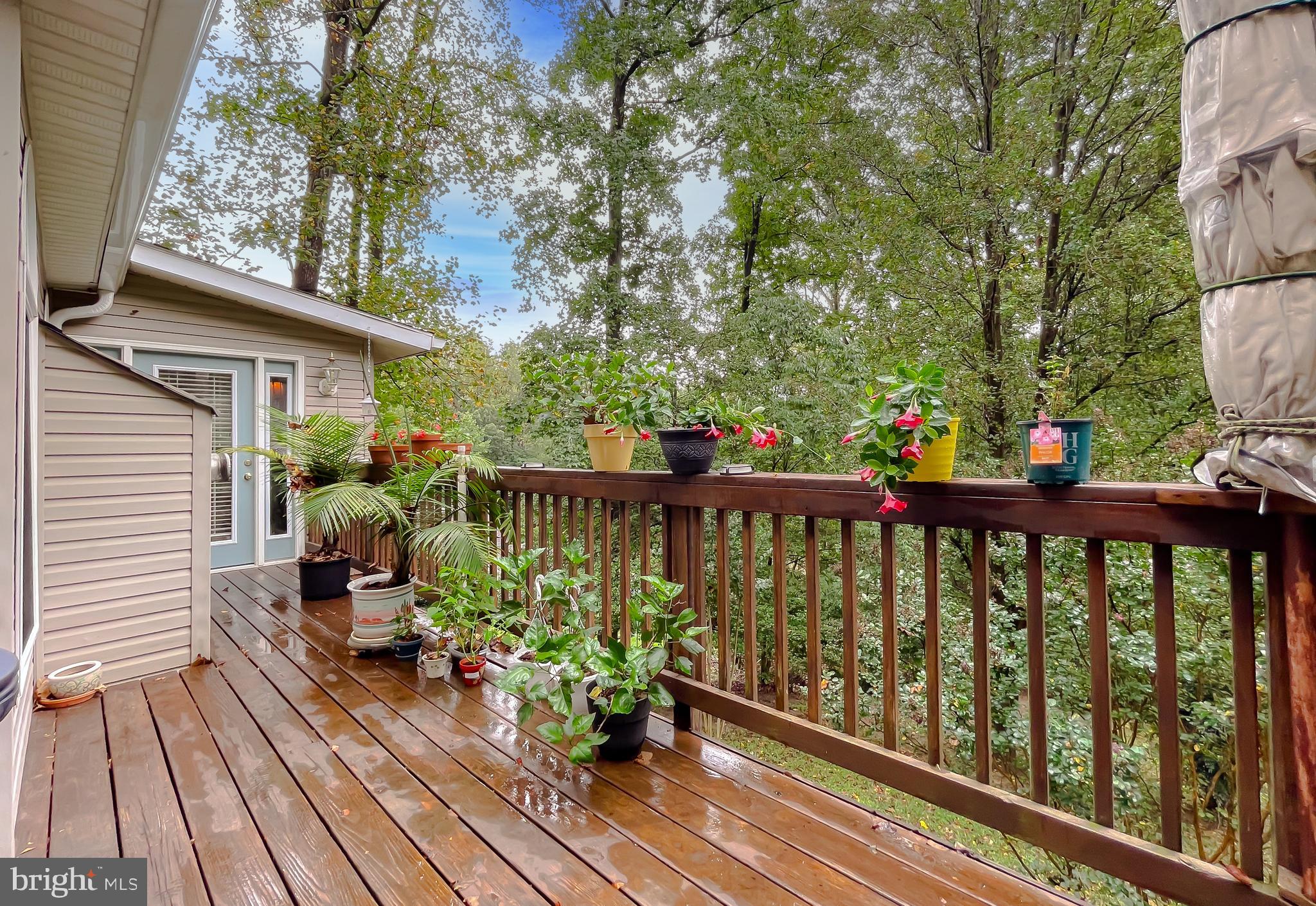 LONG BEACH HEIGHTS - Residential