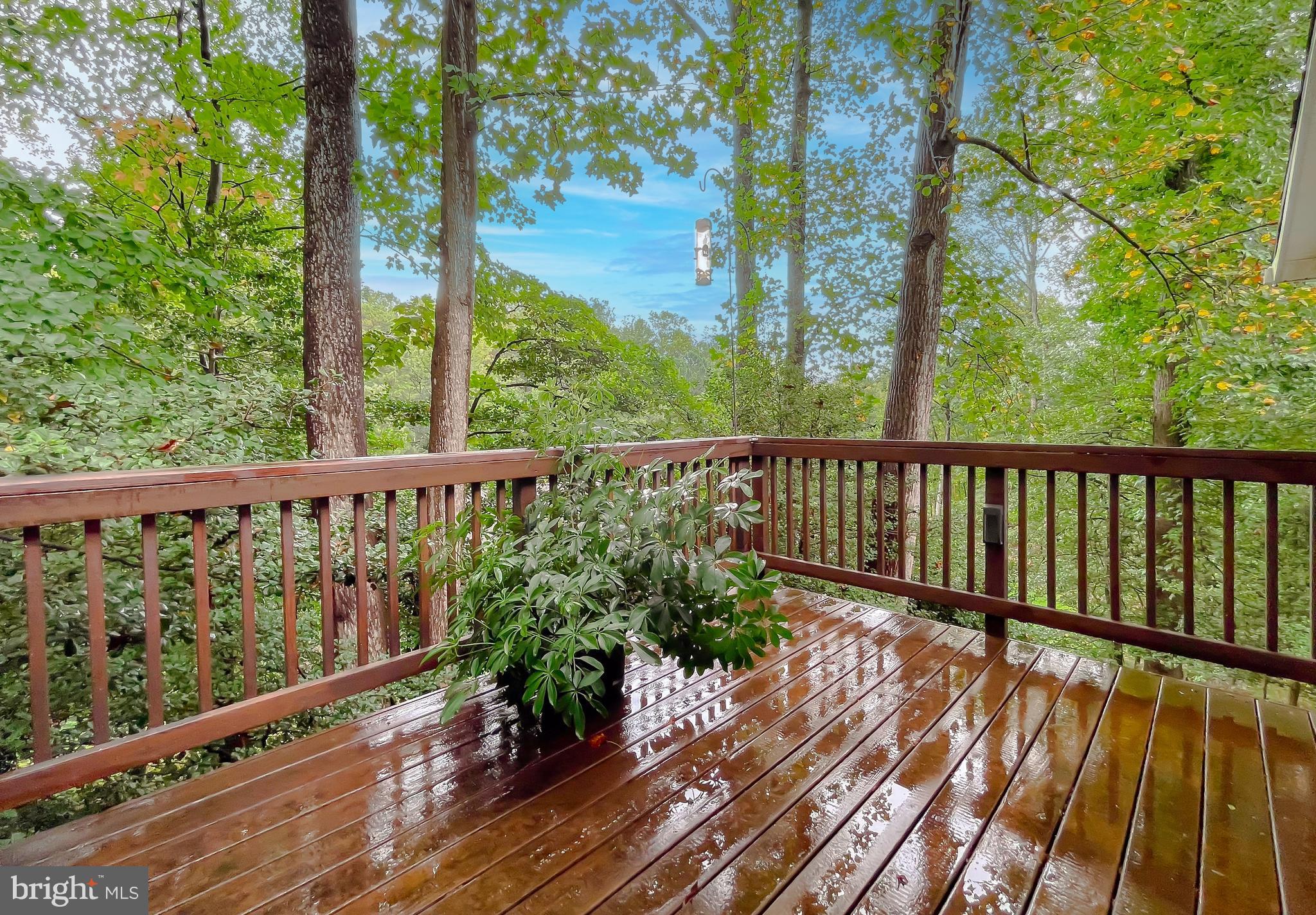 LONG BEACH HEIGHTS - Residential