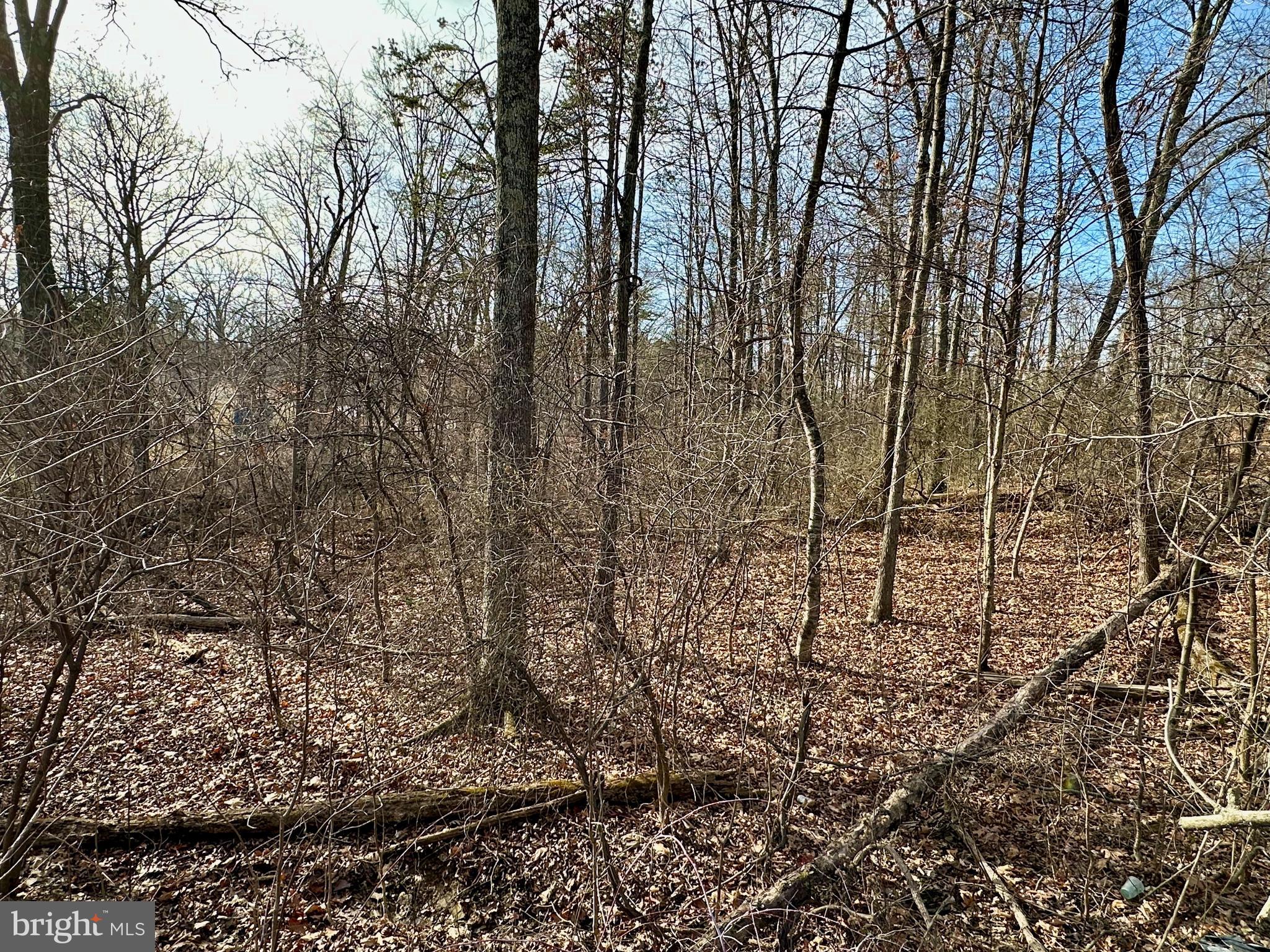 HIGH VIEW MANOR - Land