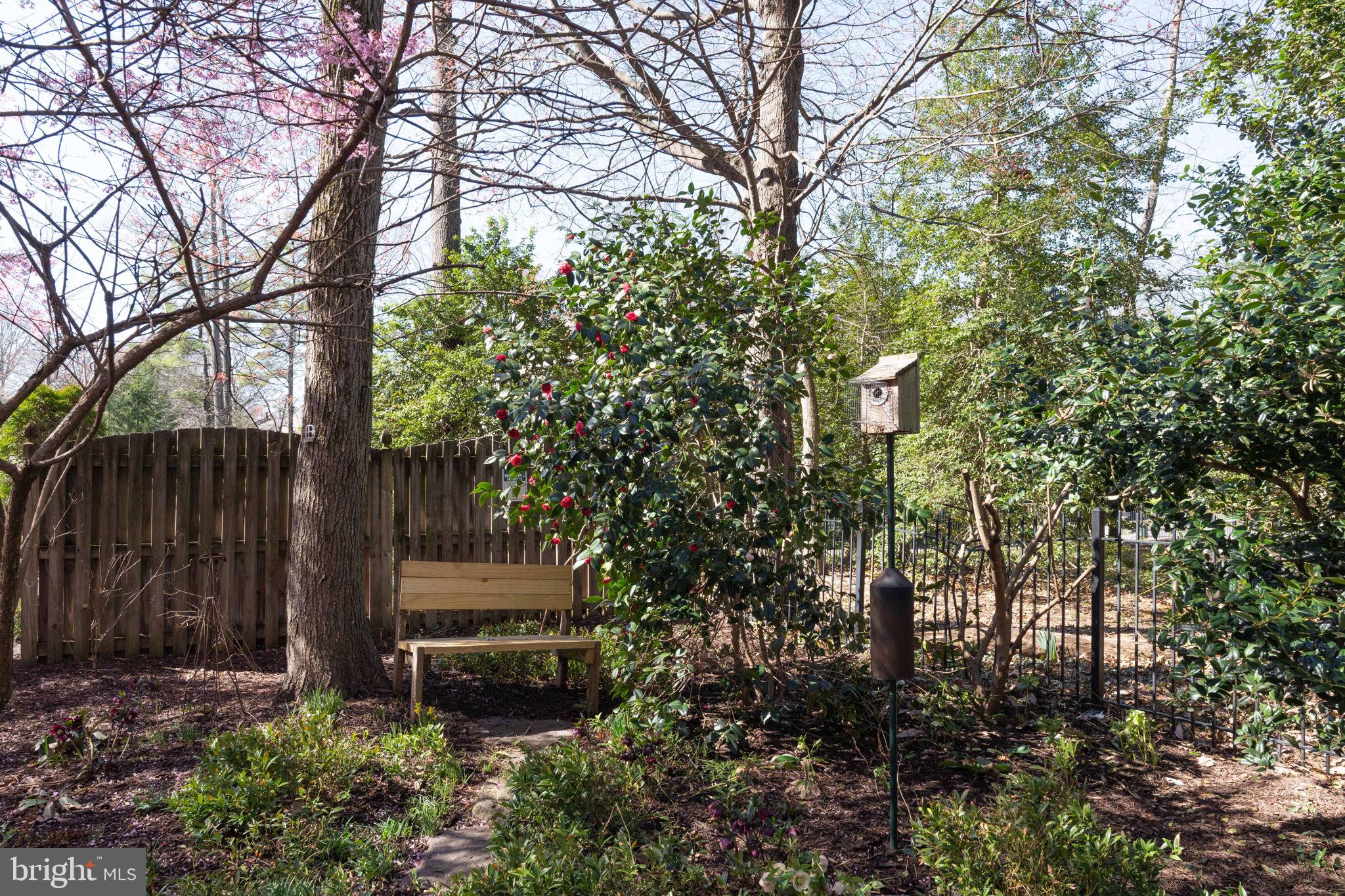 RESERVE AT MARTINS POINT - Residential