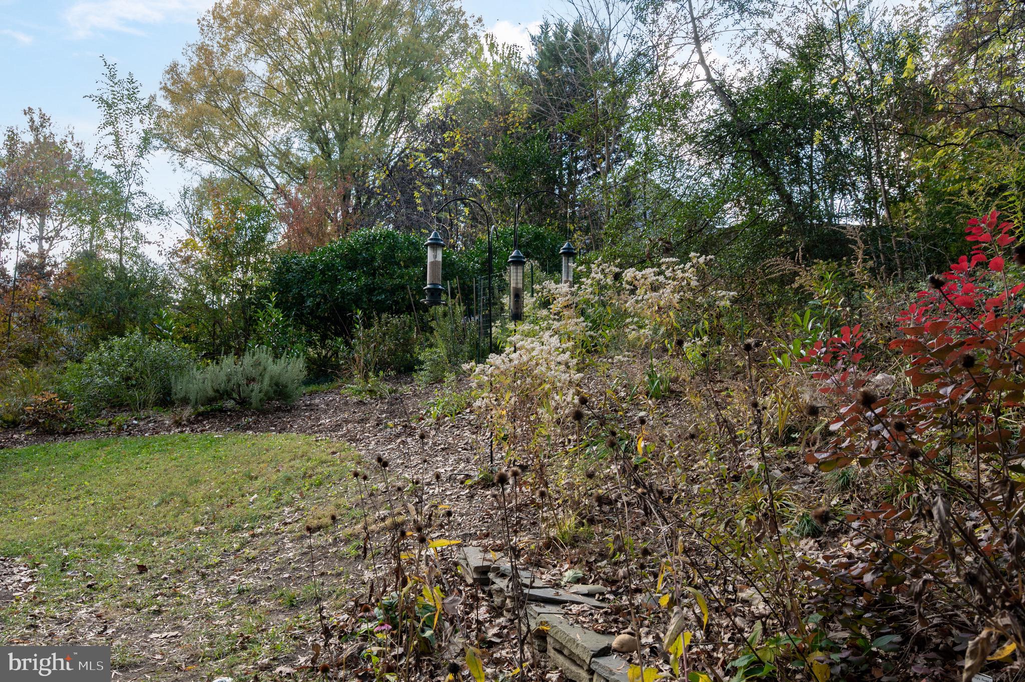 HOLLIN HILLS - Residential