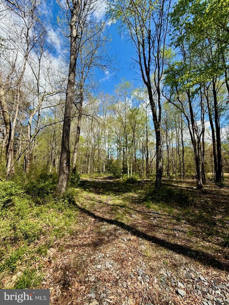 Great location near a piece of history - the property is across the street from the Stonewall Jackson shrine where Stonewall died.  Also close to the Kalahari Water Park and Resort.   About 15 minutes to Bowling Green as well.  
Mostly wooded lot at the intersection of Stonewall Jackson Rd and Guinea Station Road.     Buyer is responsible for soil work.