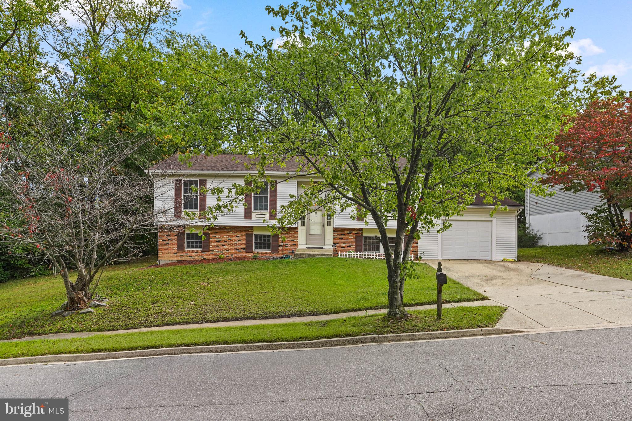 8109 RYDAL ROAD