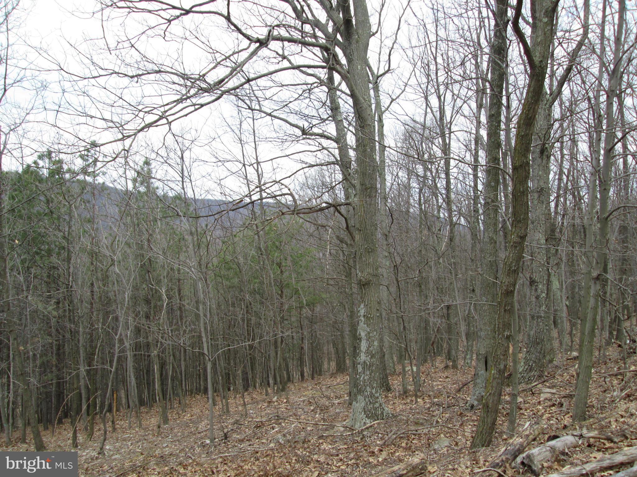 EAGLE MOUNTAIN - Residential