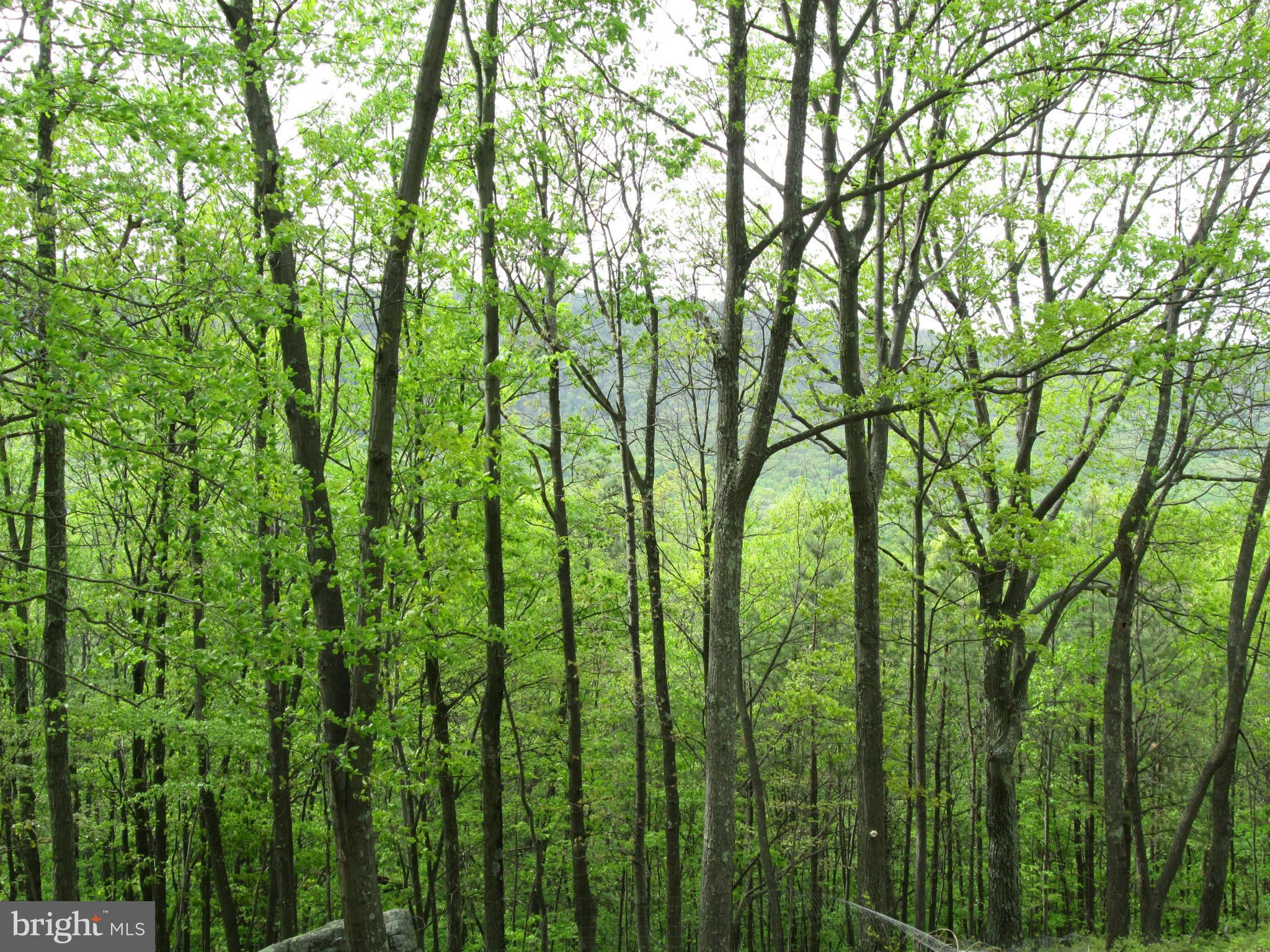 EAGLE MOUNTAIN - Residential