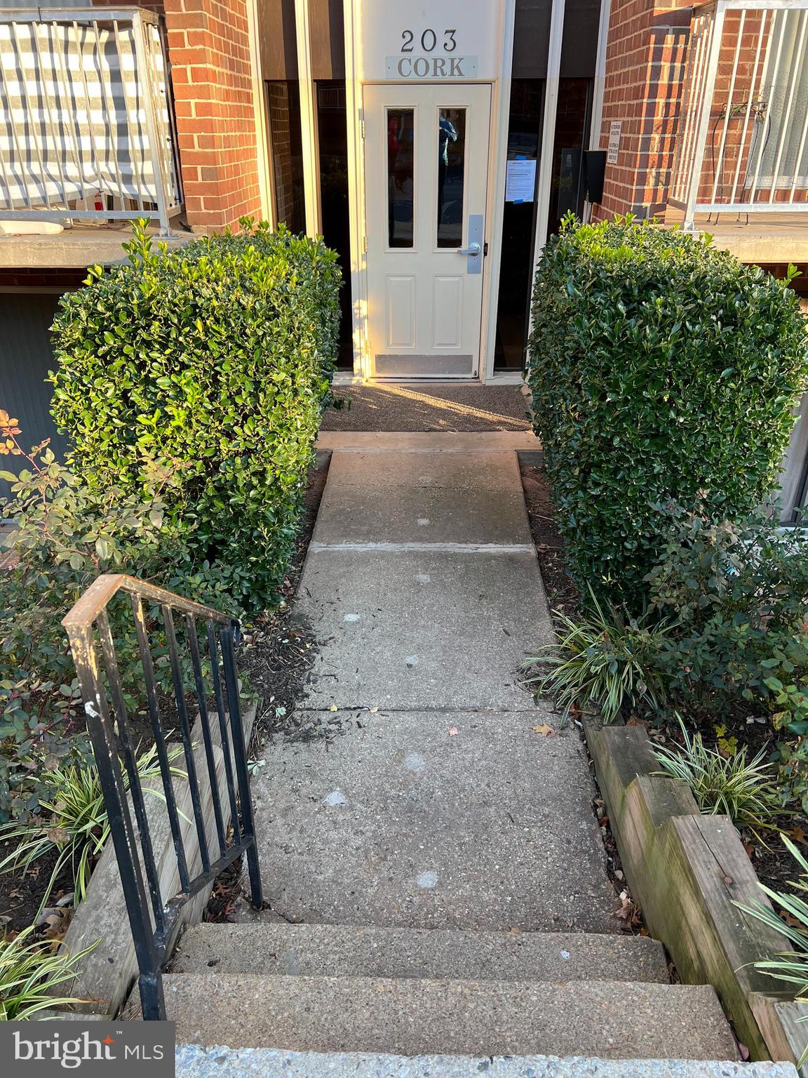 CHESNUT HILL - Residential