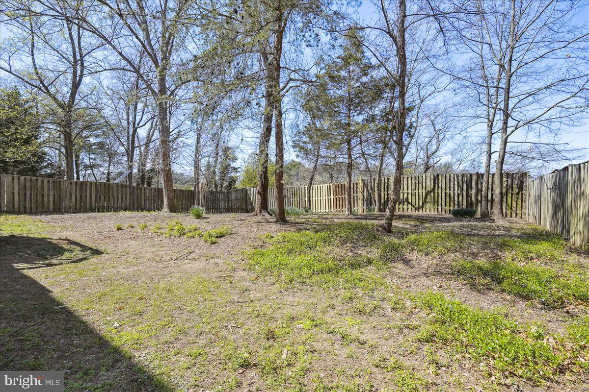 FRANCONIA FOREST - Residential Lease