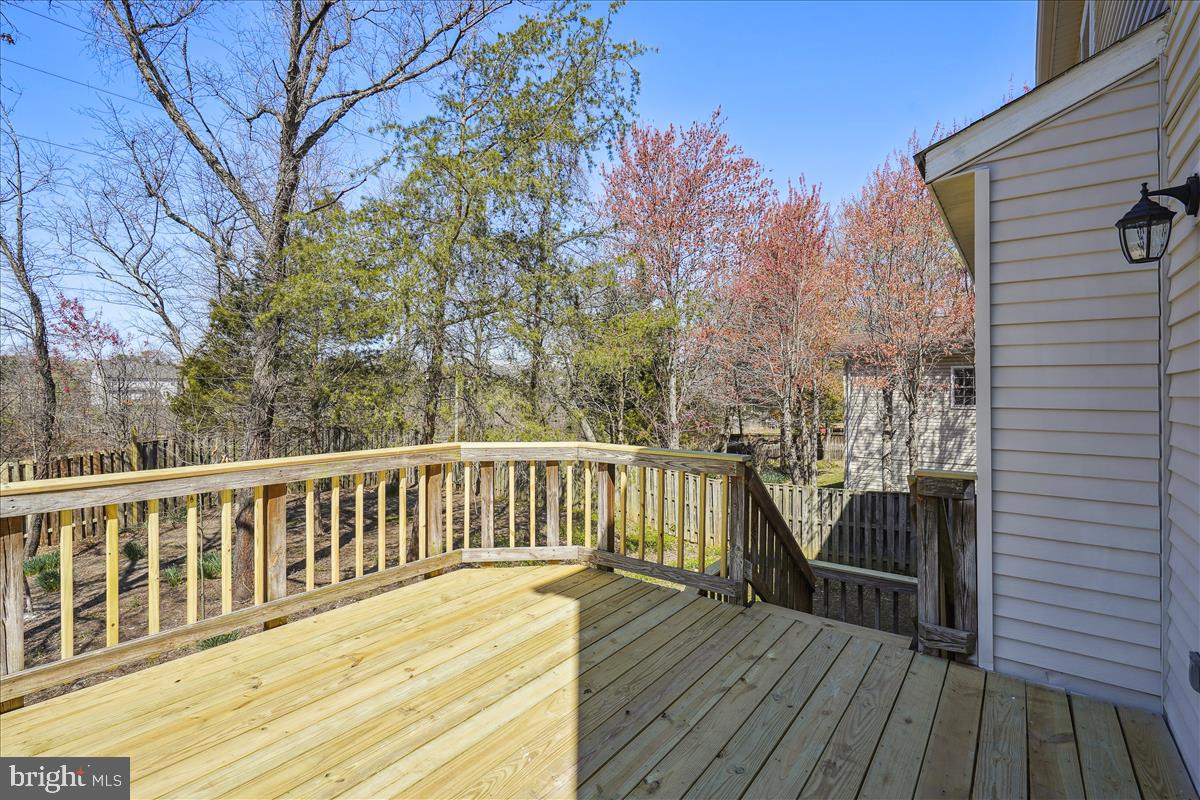 FRANCONIA FOREST - Residential Lease