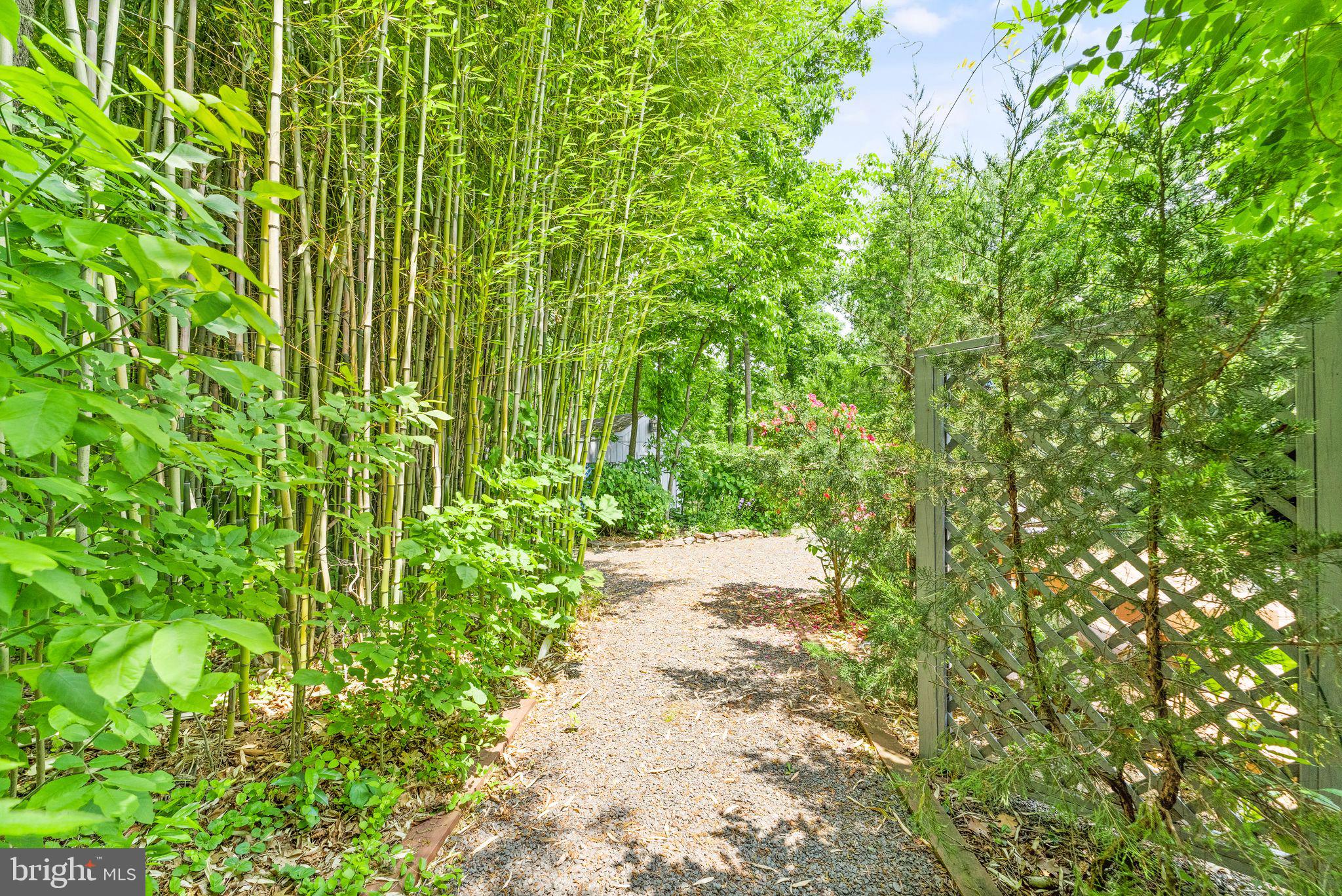 GRAPEWOOD ESTATES - Residential