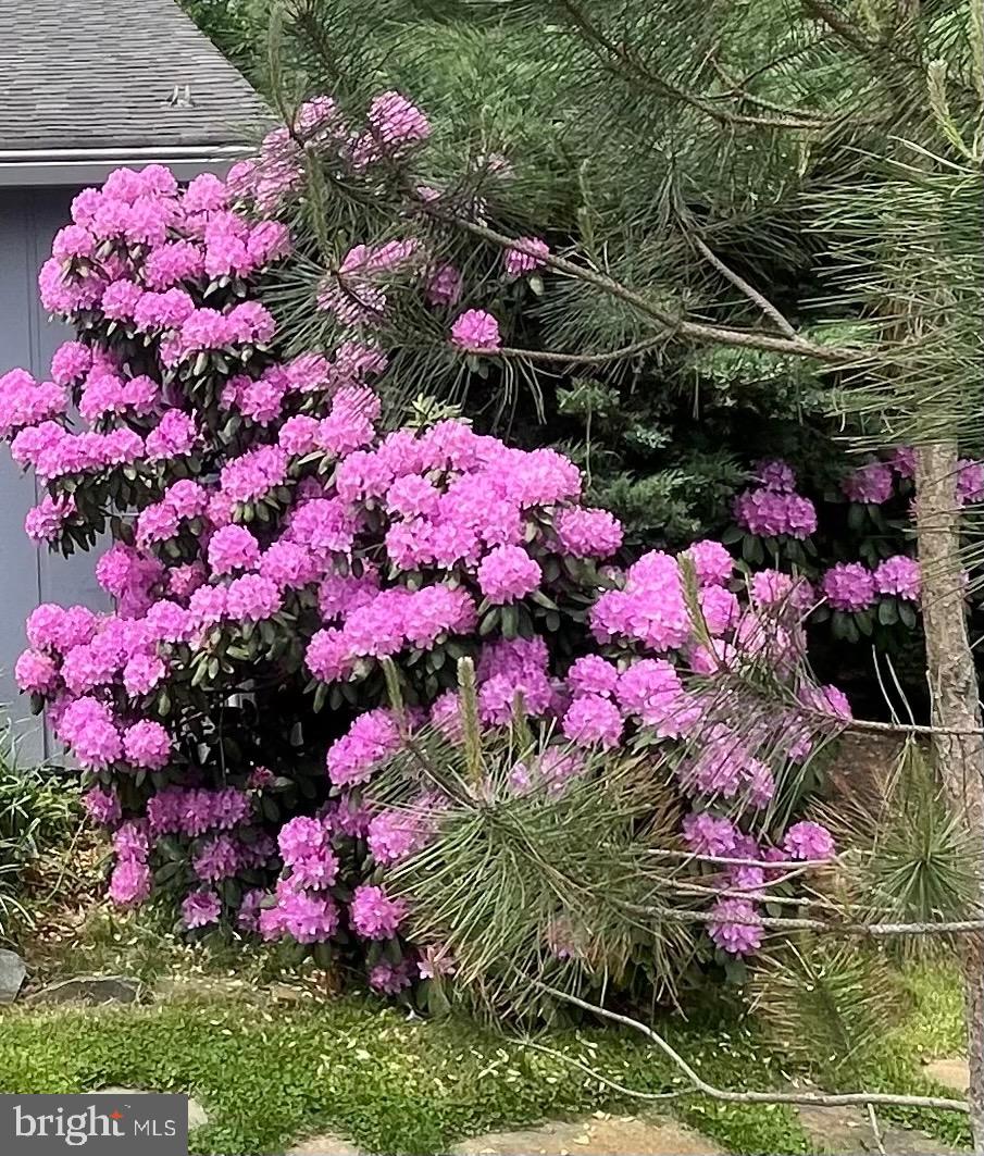 GRAPEWOOD ESTATES - Residential