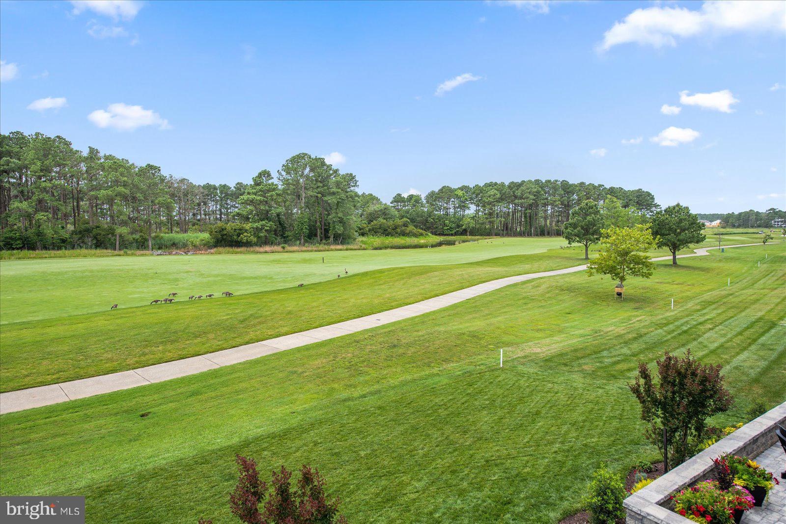 BAYSIDE - Residential