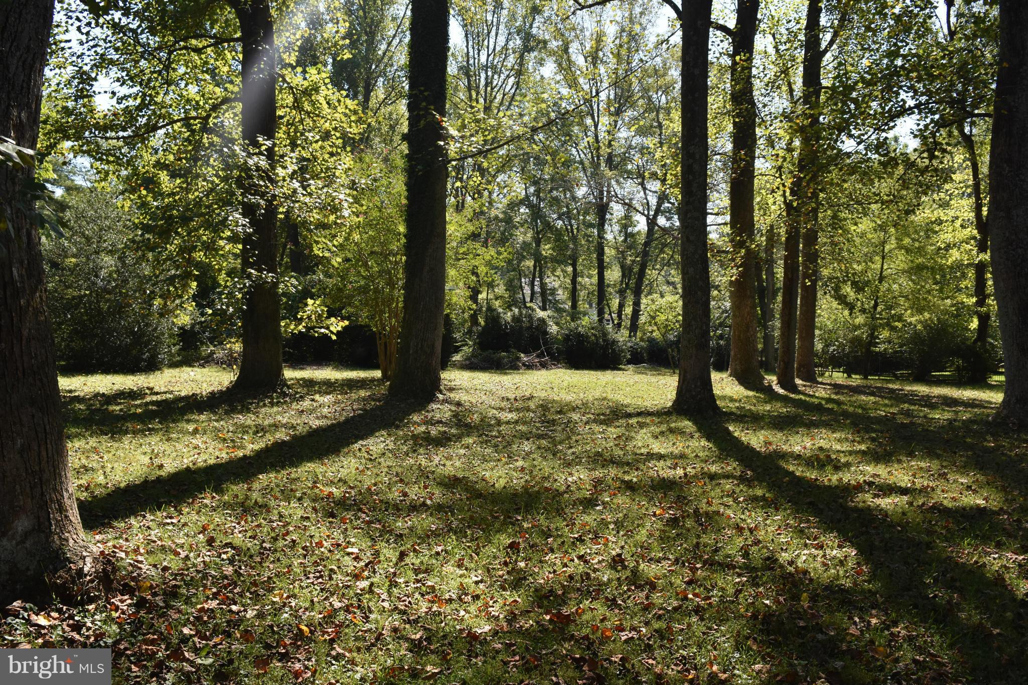 BURNING TREE VALLEY - Land
