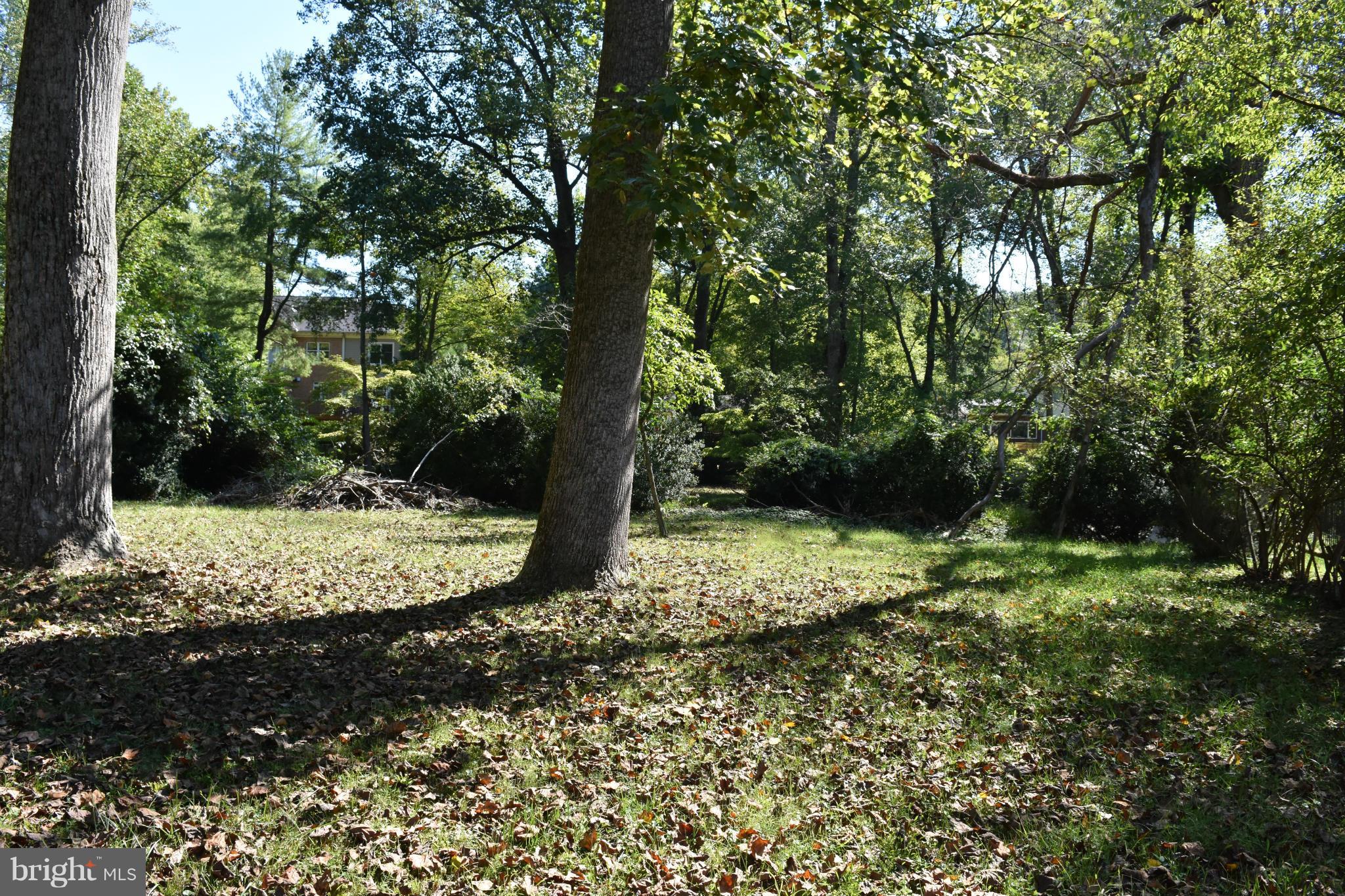 BURNING TREE VALLEY - Land