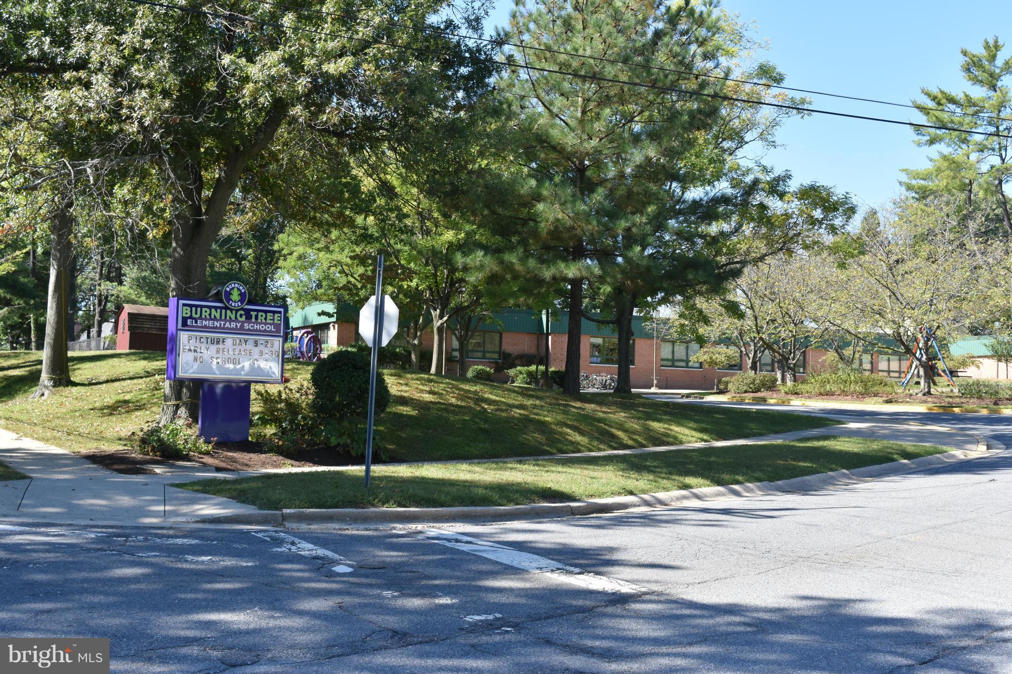 BURNING TREE VALLEY - Land