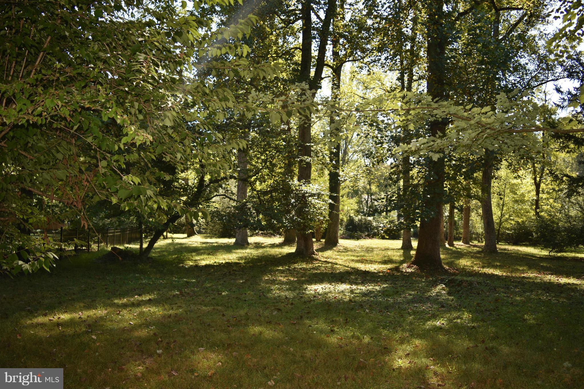 BURNING TREE VALLEY - Land