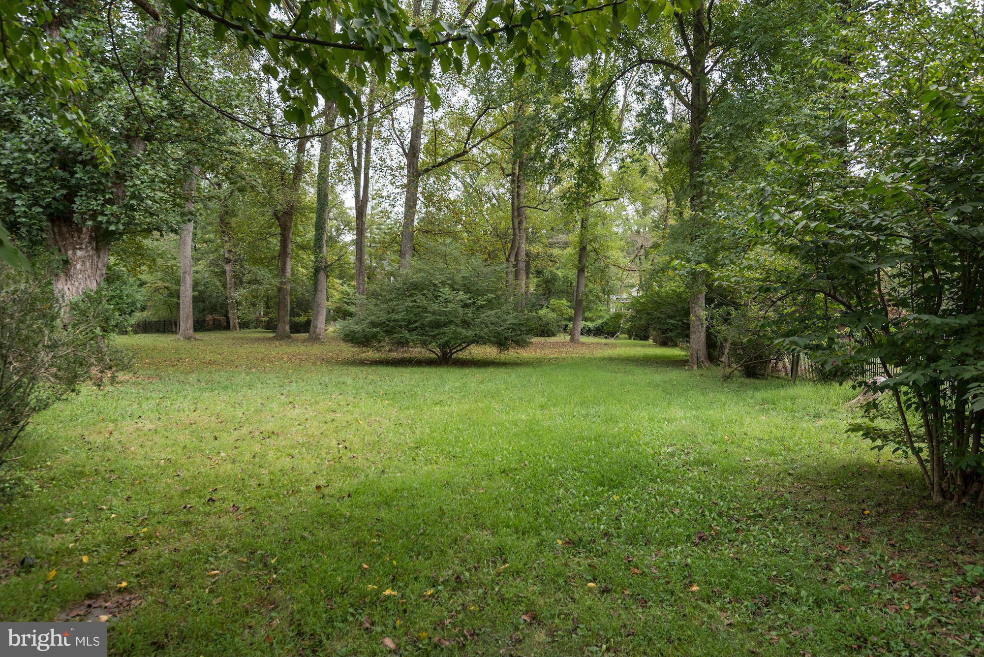 BURNING TREE VALLEY - Land