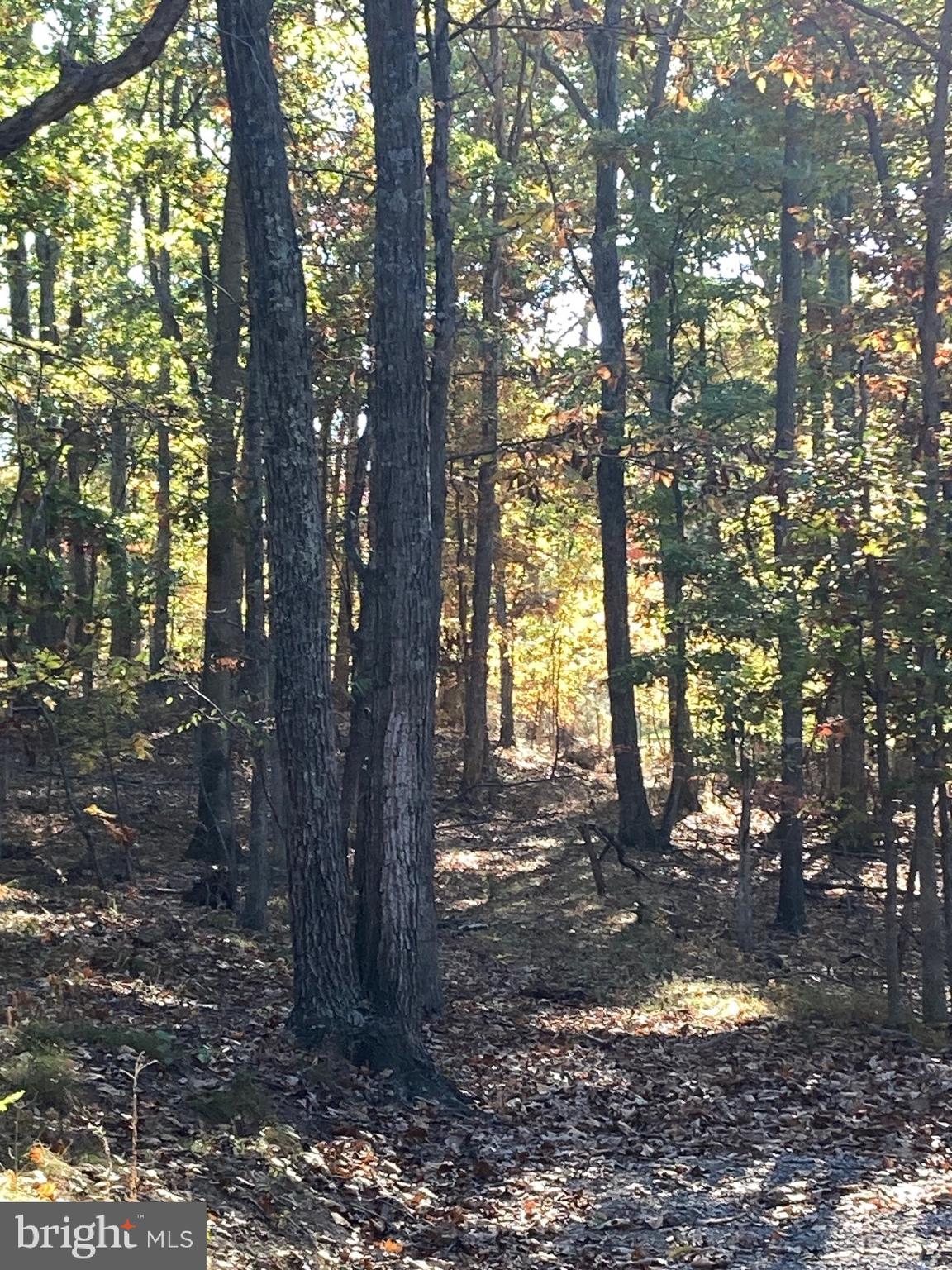 ROLLING ACRES - Residential