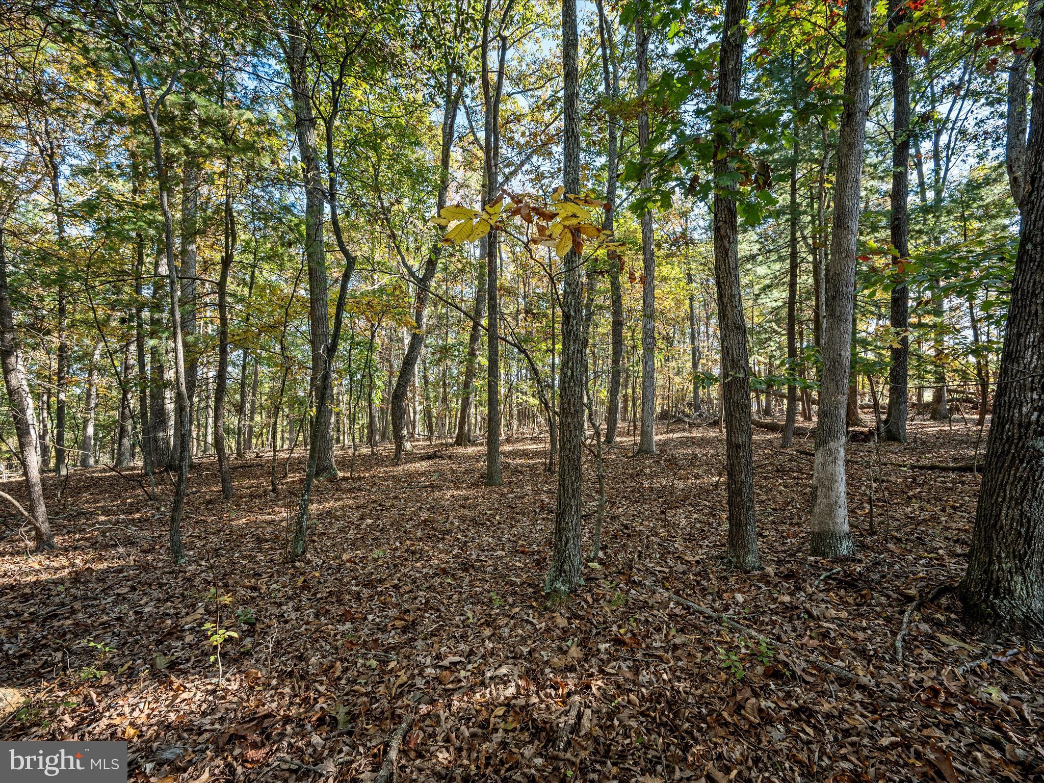 ROLLING ACRES - Residential